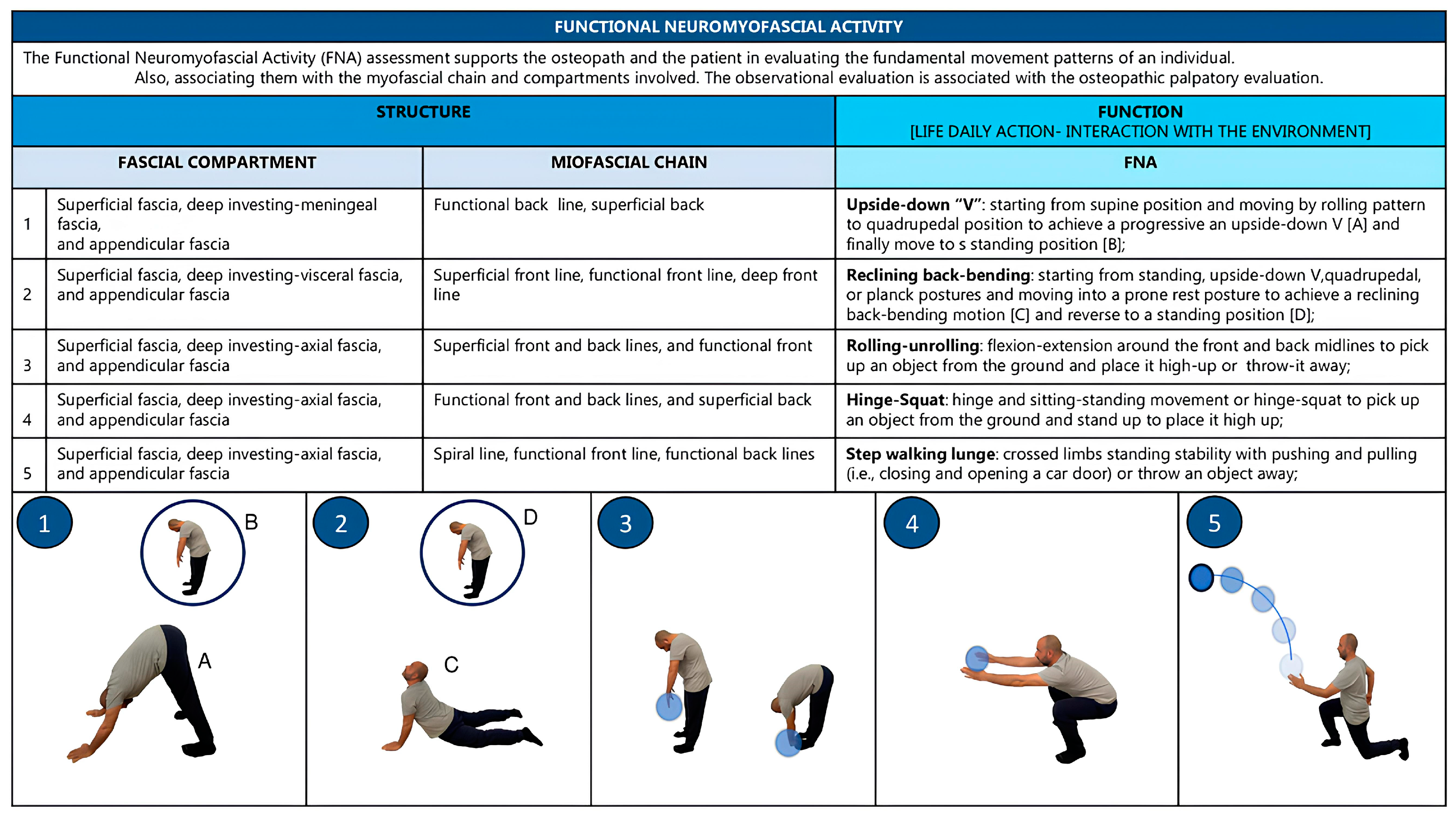 Healthcare 11 02886 g001