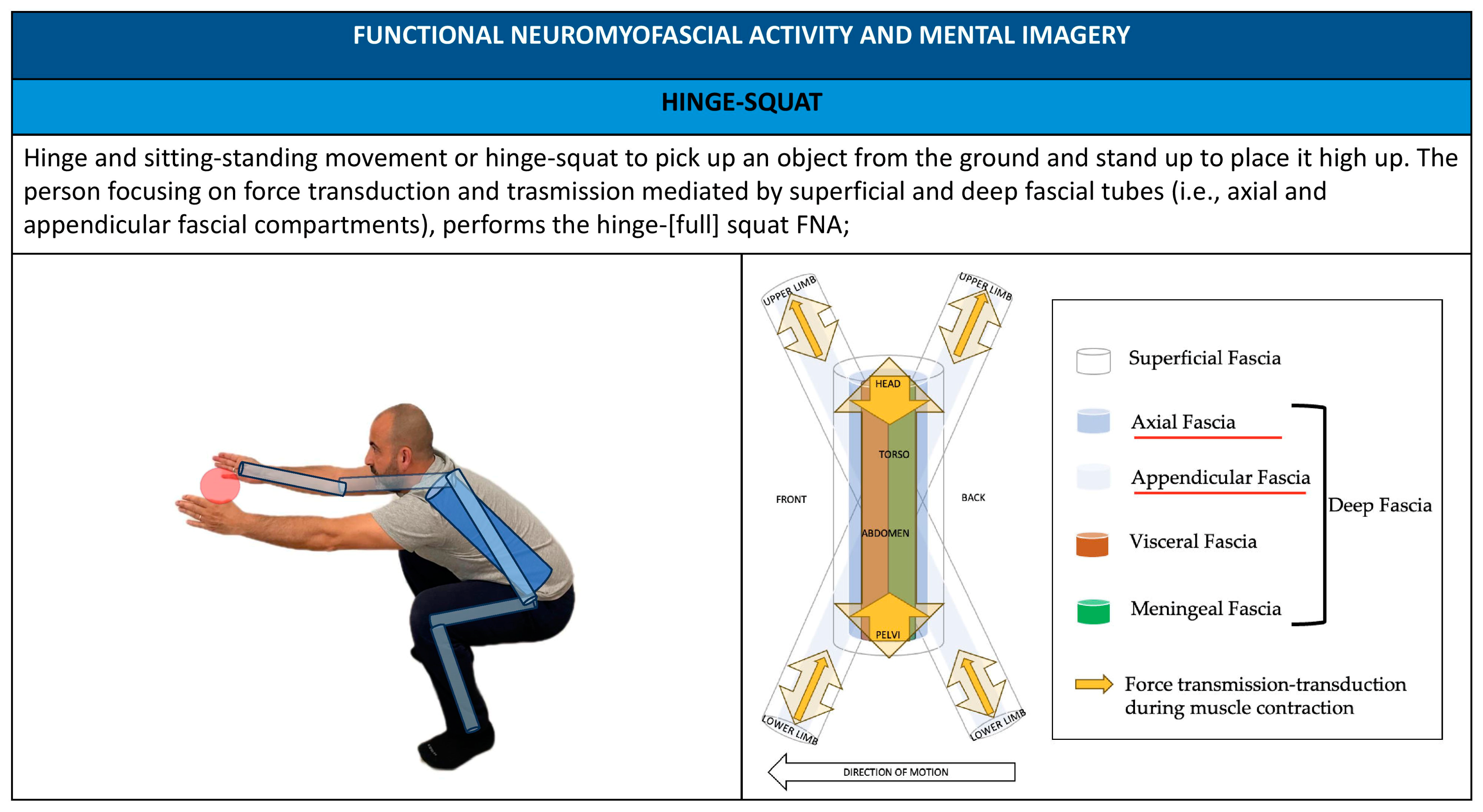 Healthcare 11 02886 g010