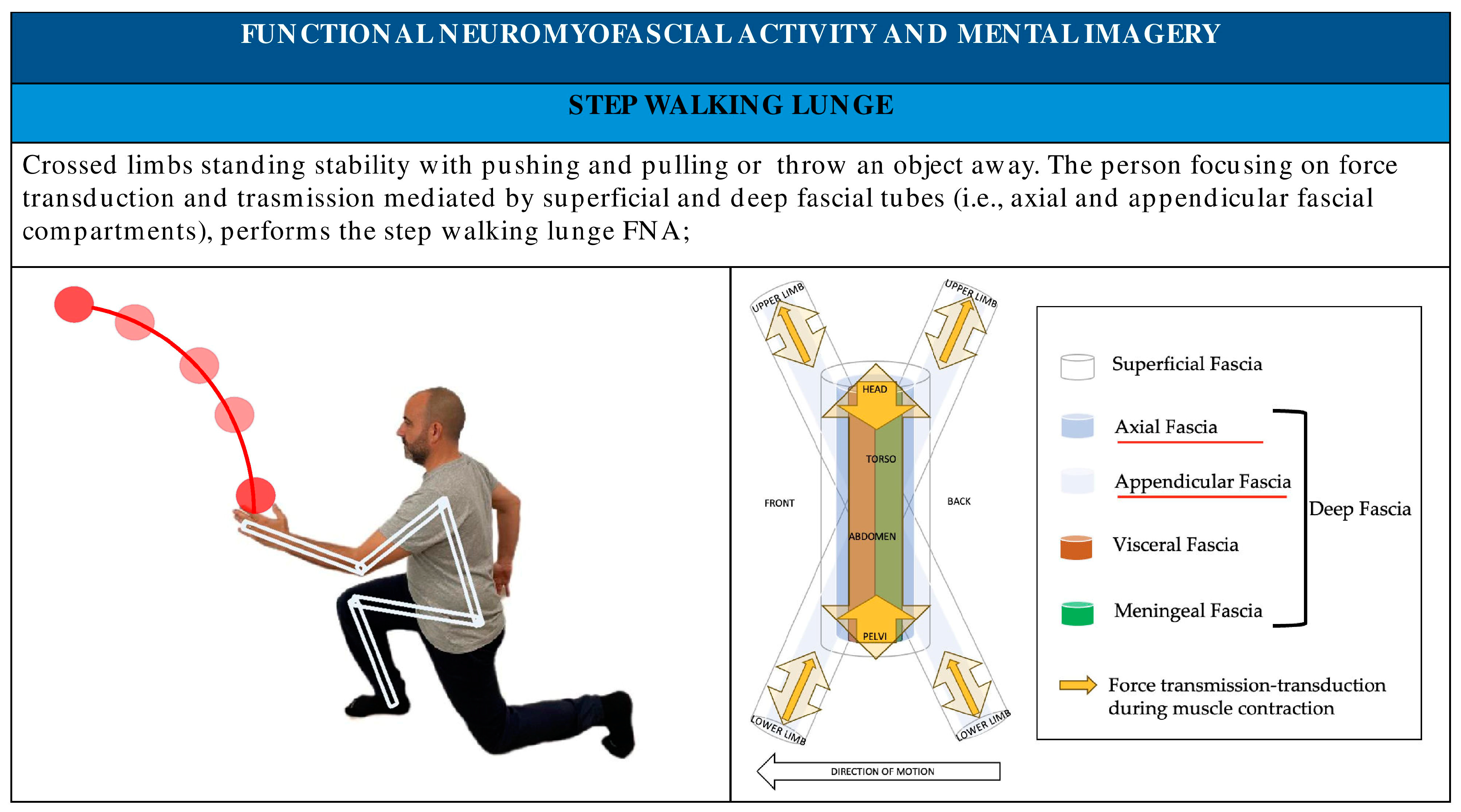 Healthcare 11 02886 g011