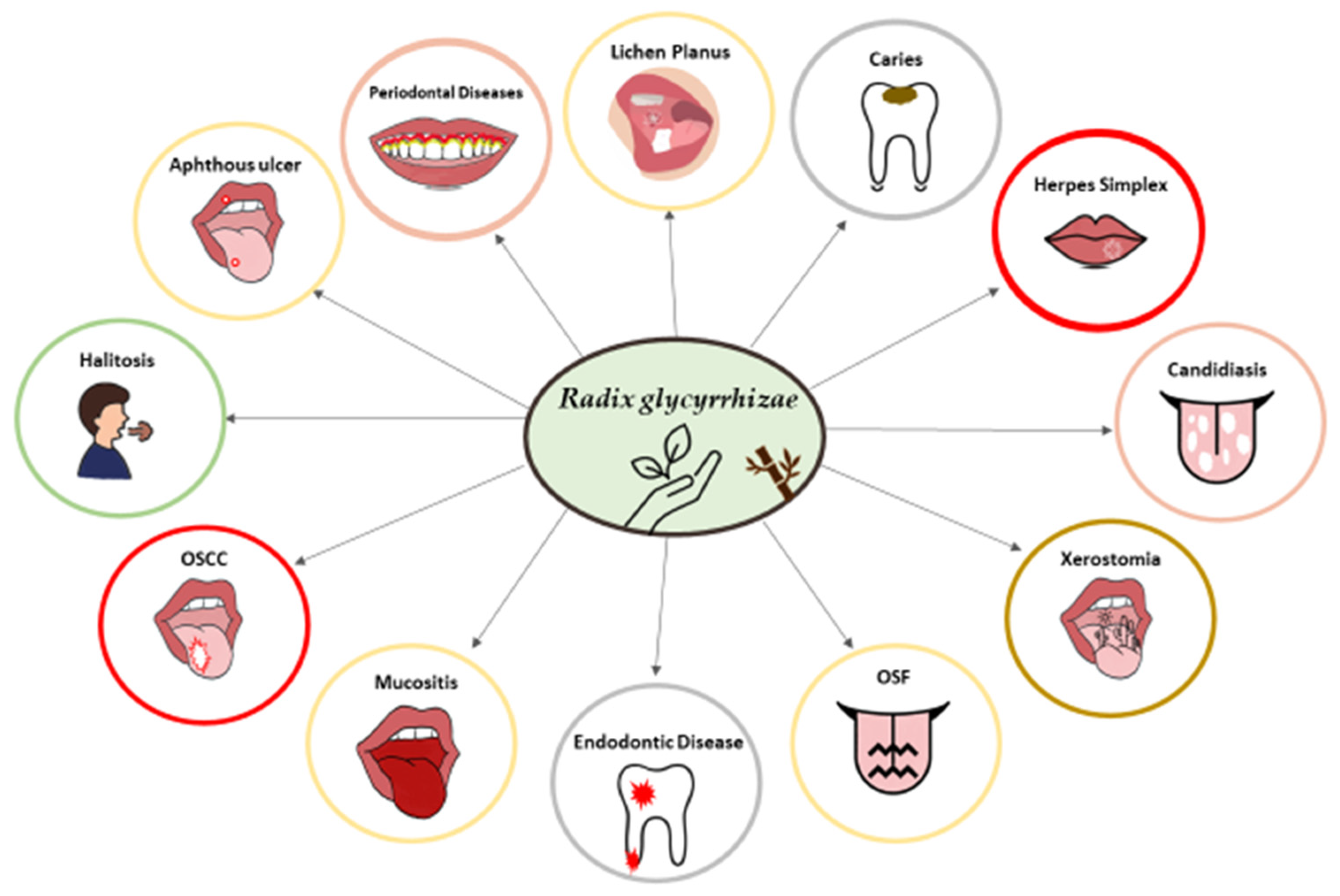 Healthcare 11 02887 g001 Healthcare 11 02887 g001