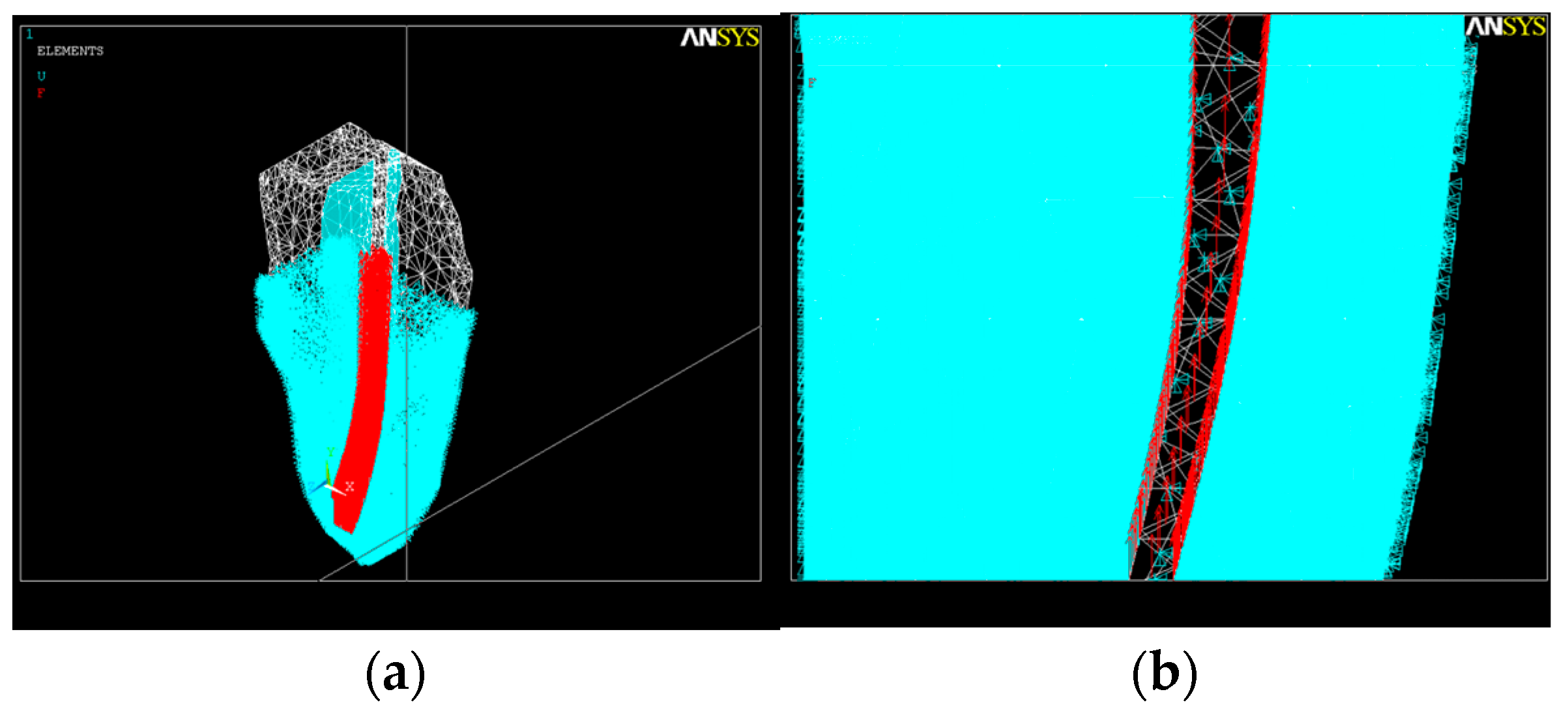 Healthcare 11 02918 g012