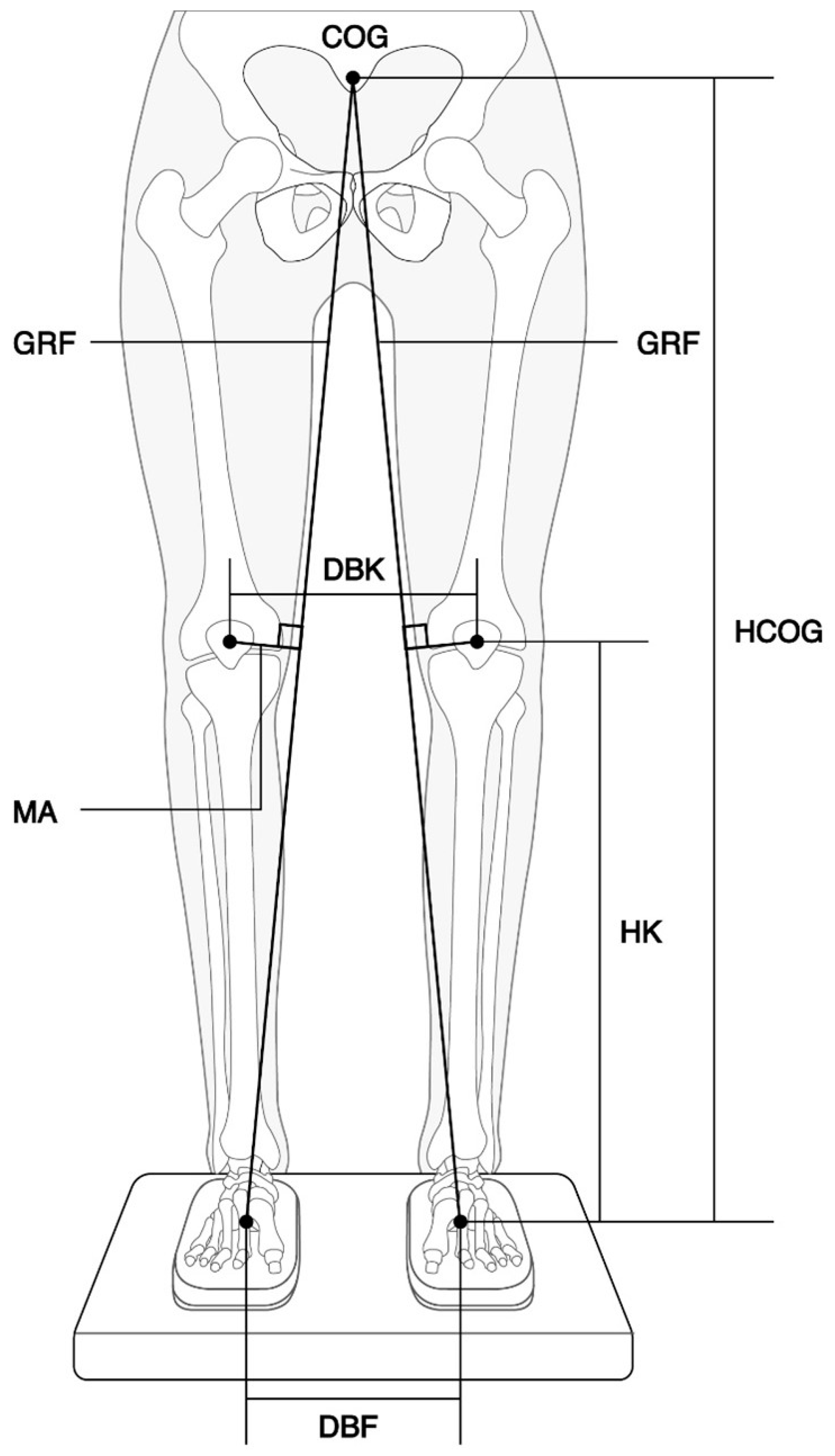 Healthcare 11 02931 g002