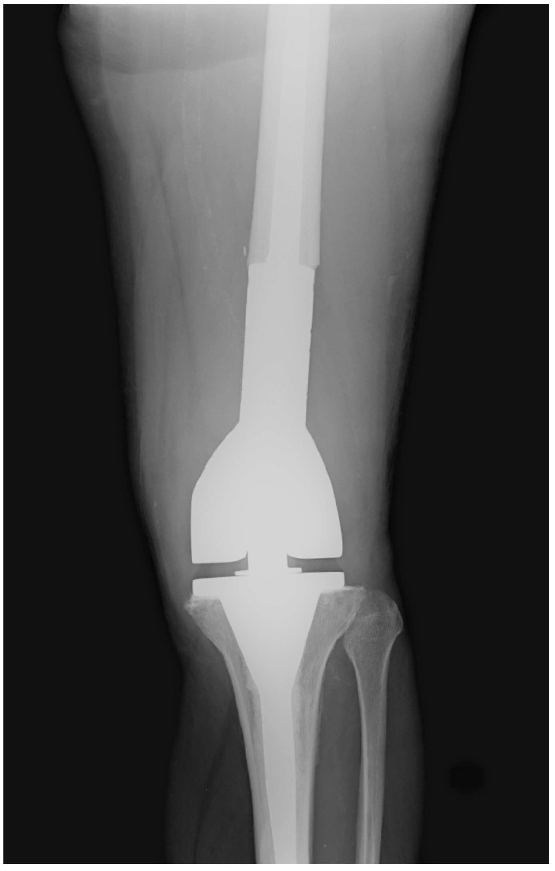 Healthcare 11 02984 g002