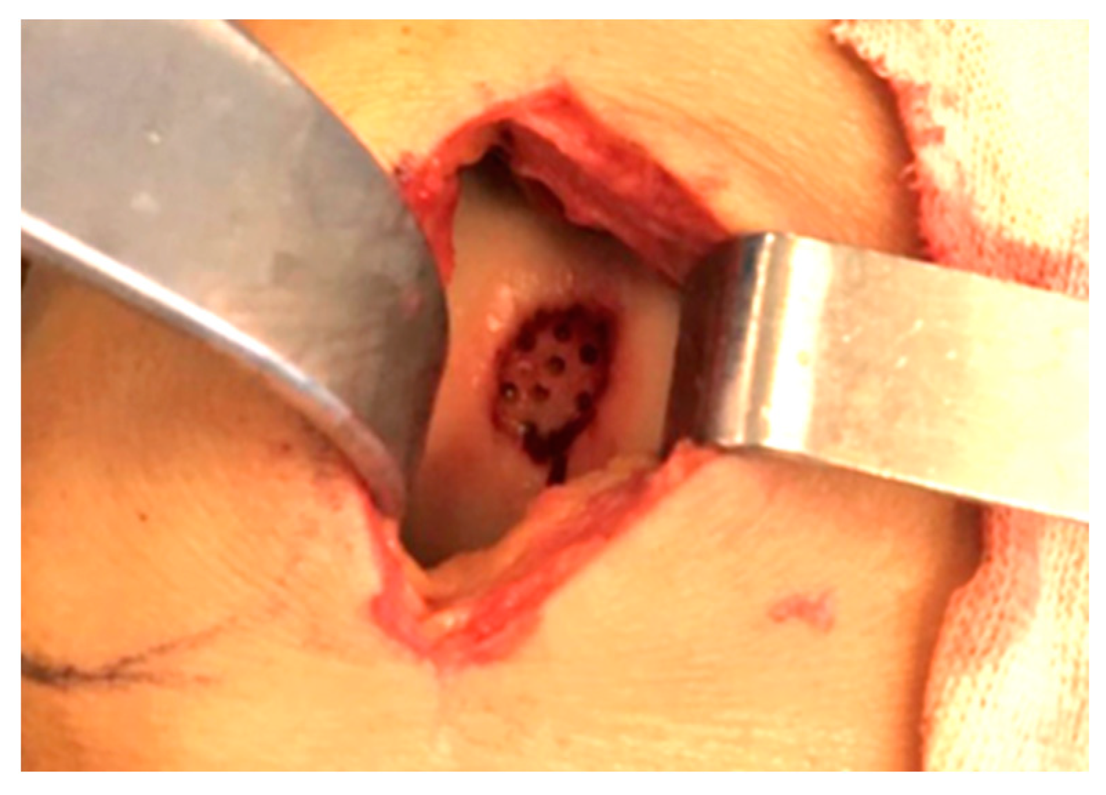 Healthcare 11 02995 g001