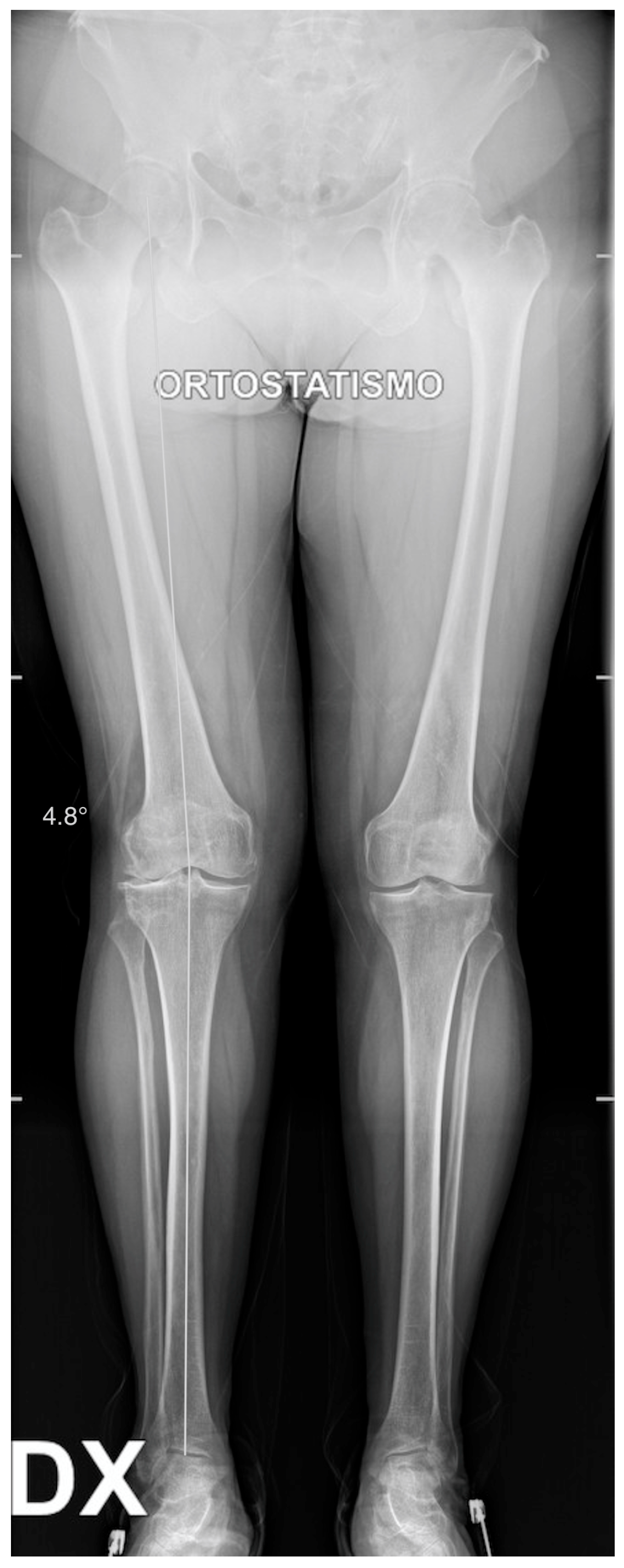 Healthcare 11 02999 g001 Healthcare 11 02999 g001