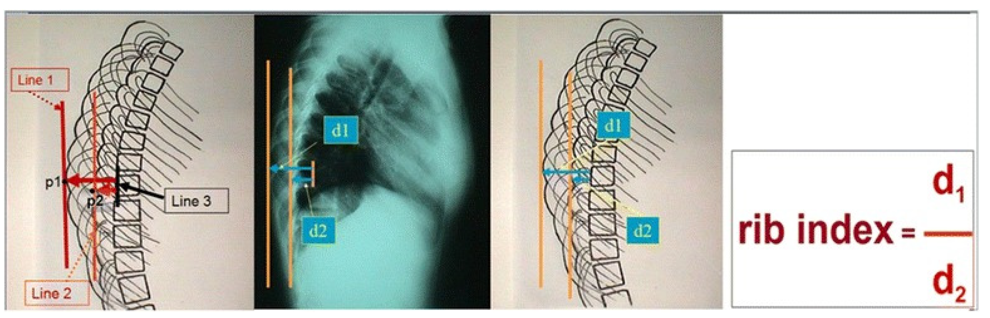 Healthcare 11 03004 g001