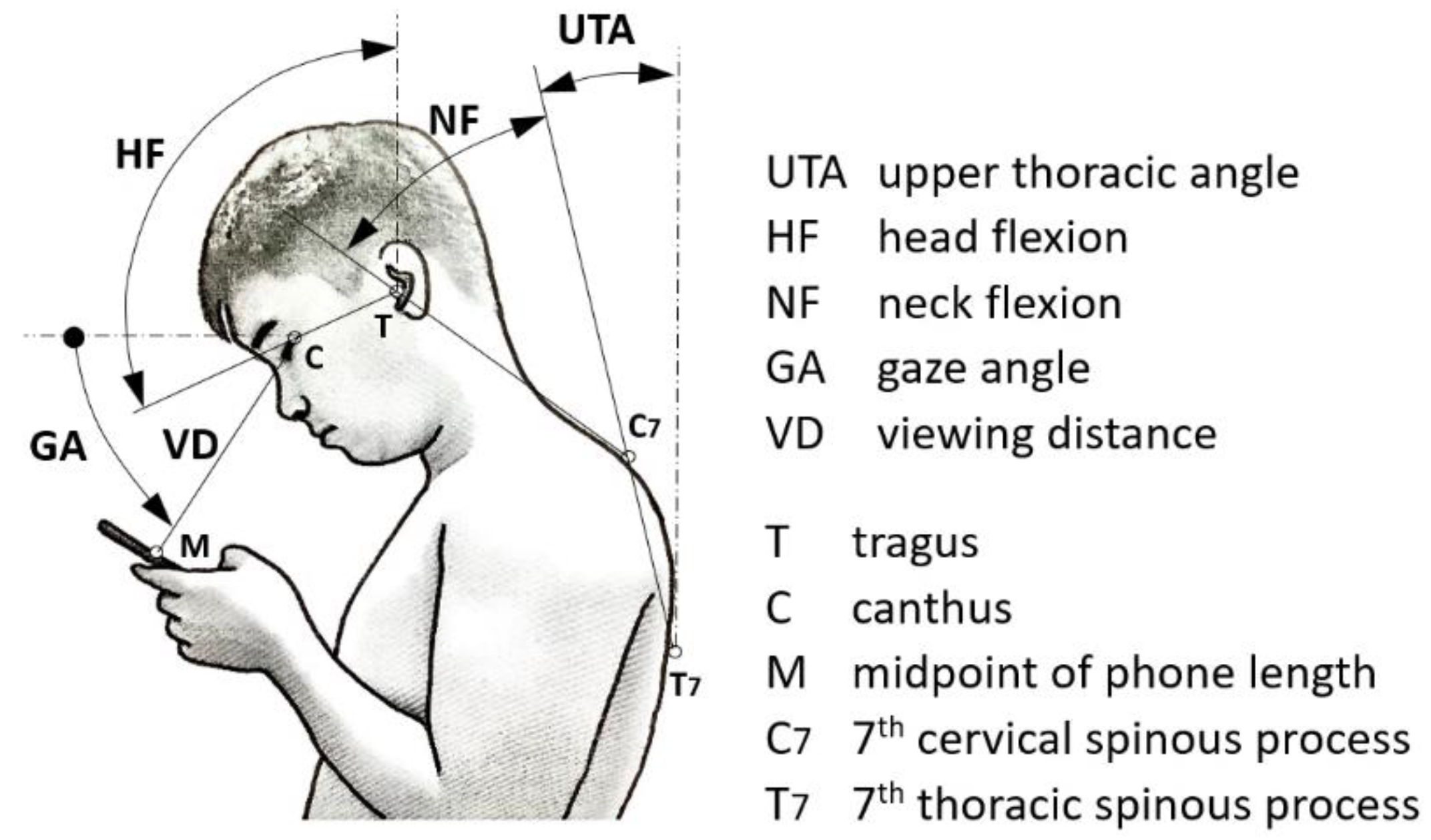 Healthcare 11 03027 g001
