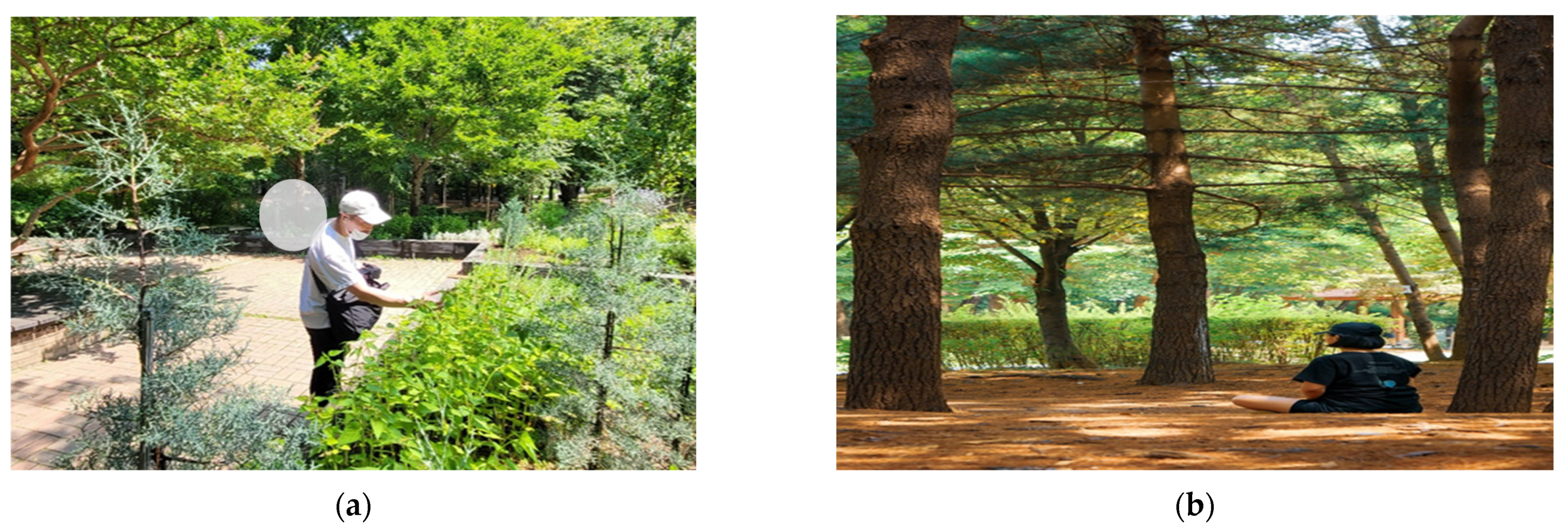 Healthcare 11 03039 g002a