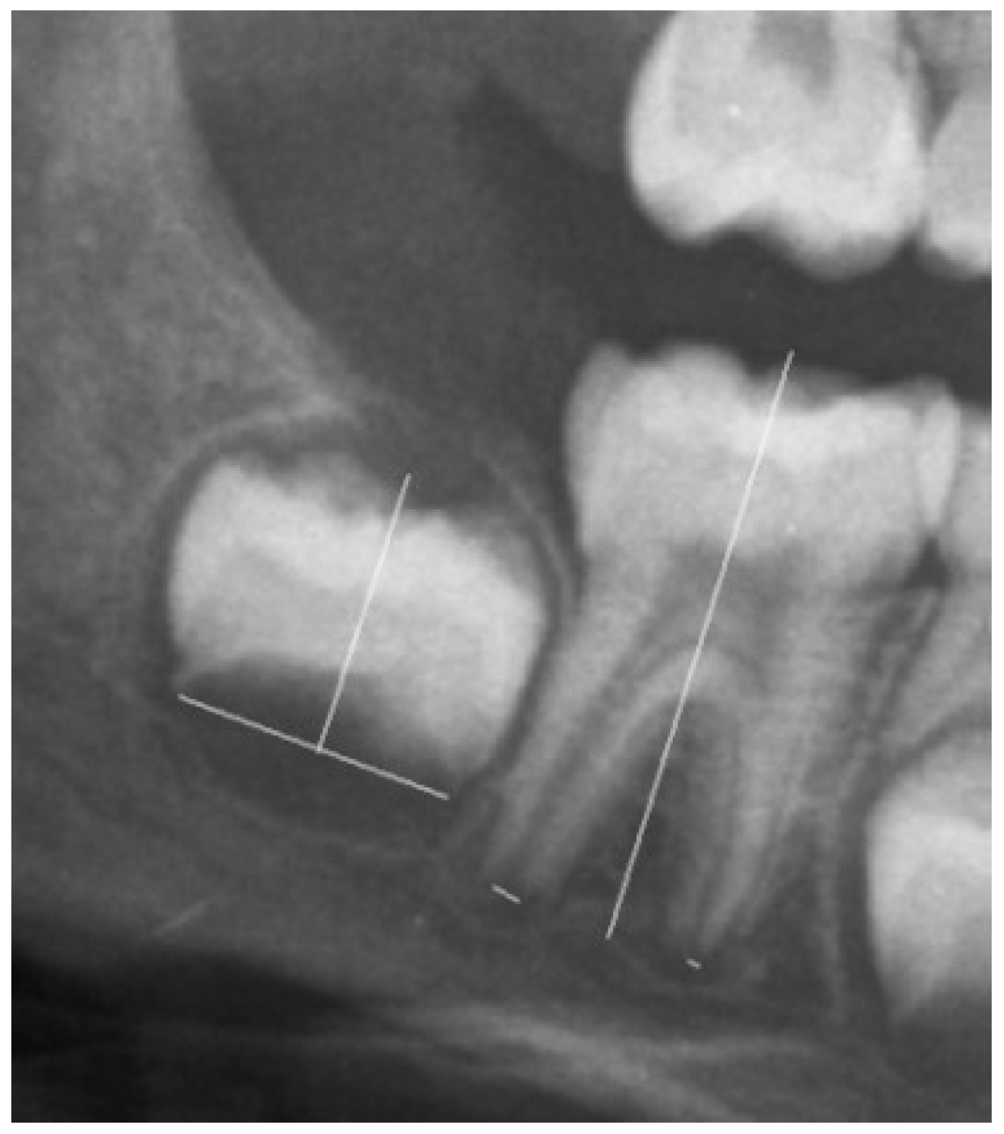 Healthcare 11 03047 g001