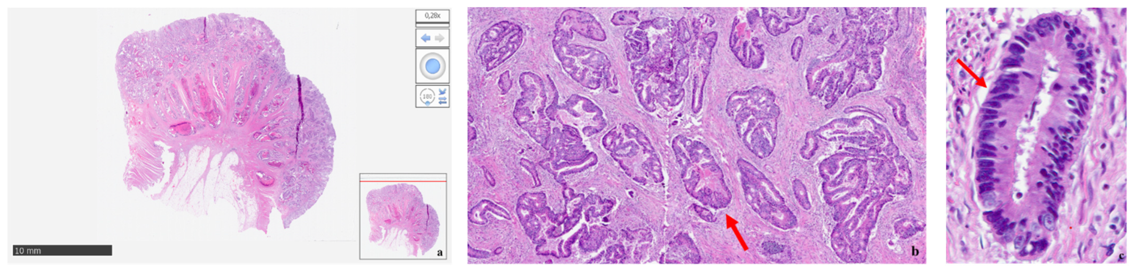 Healthcare 11 03077 g002 Healthcare 11 03077 g002