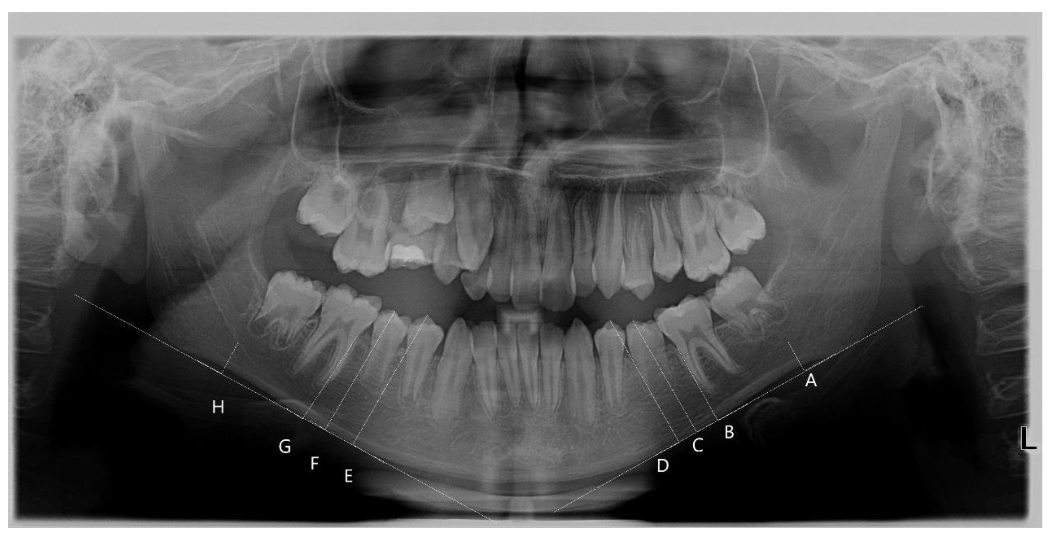 Healthcare 11 03105 g001 Healthcare 11 03105 g001