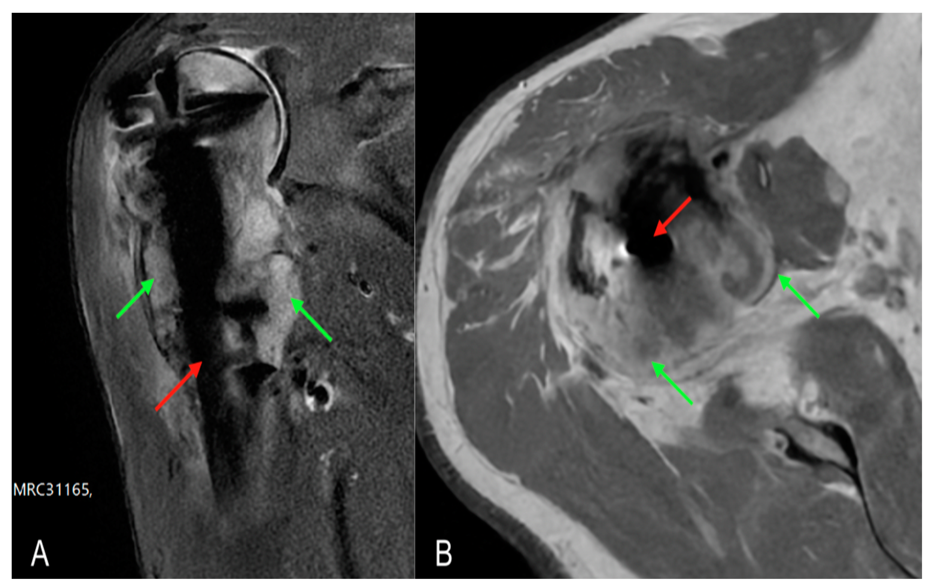 Healthcare 11 03108 g003