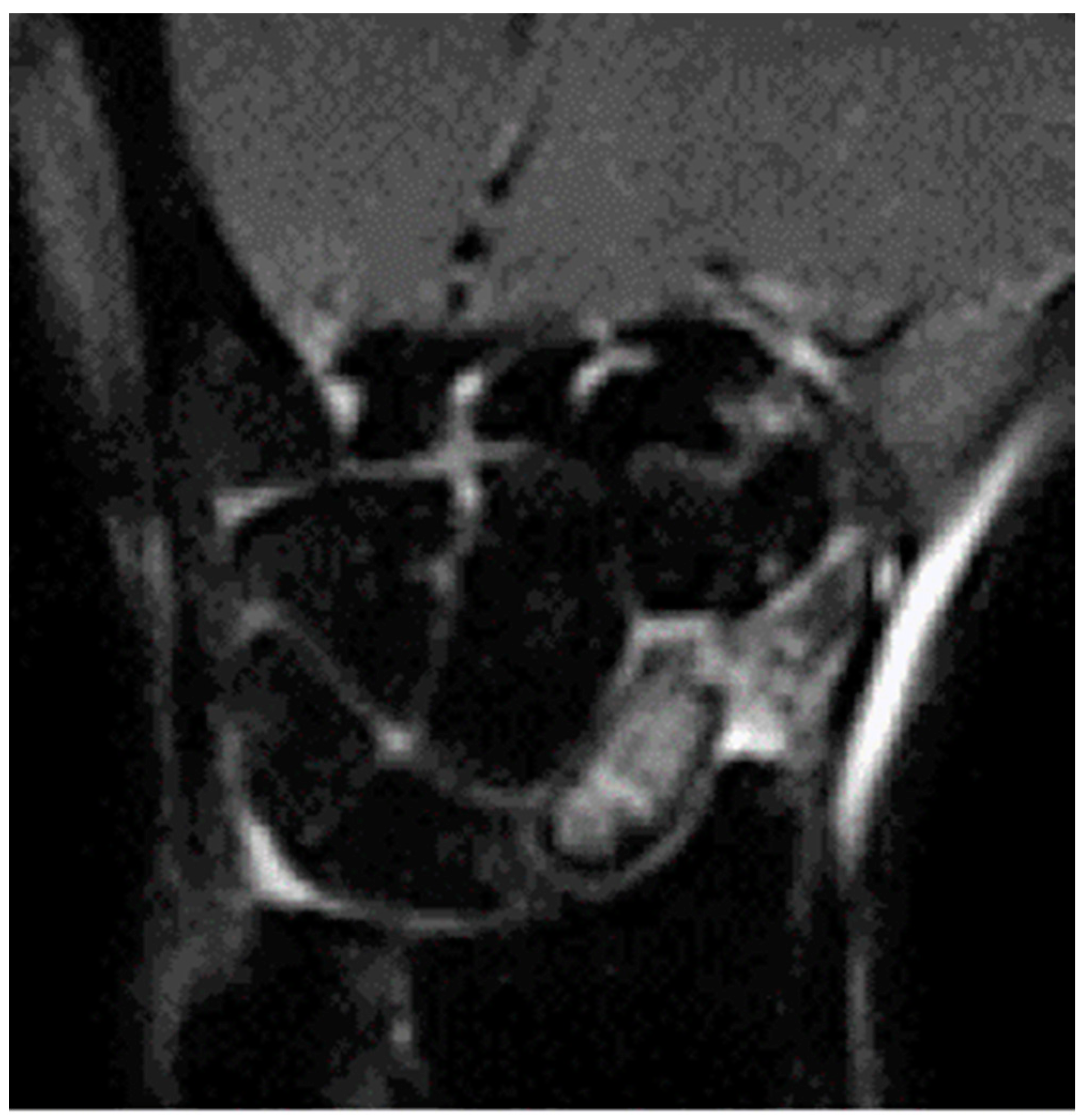 Healthcare 11 03123 g002