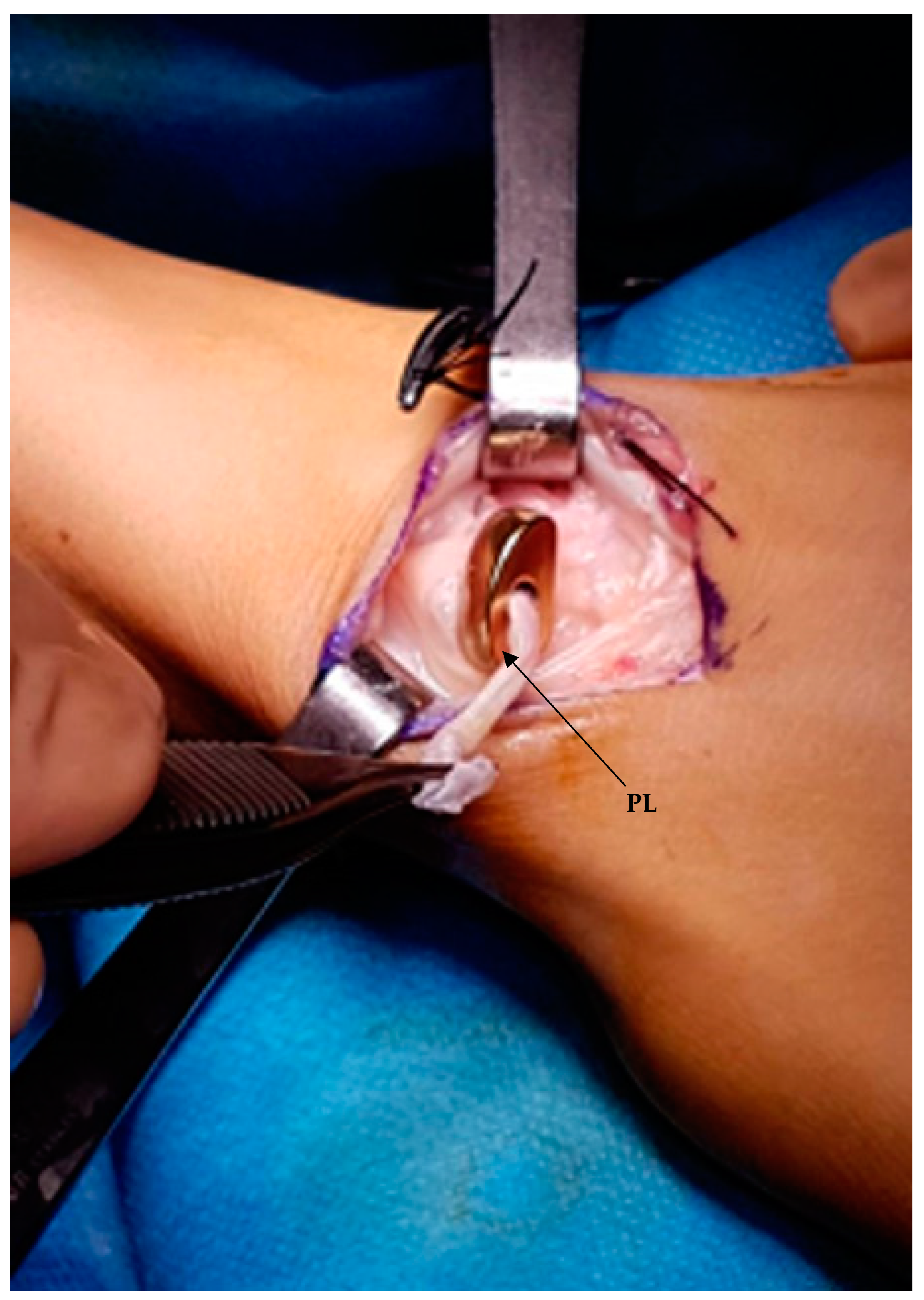 Healthcare 11 03123 g003