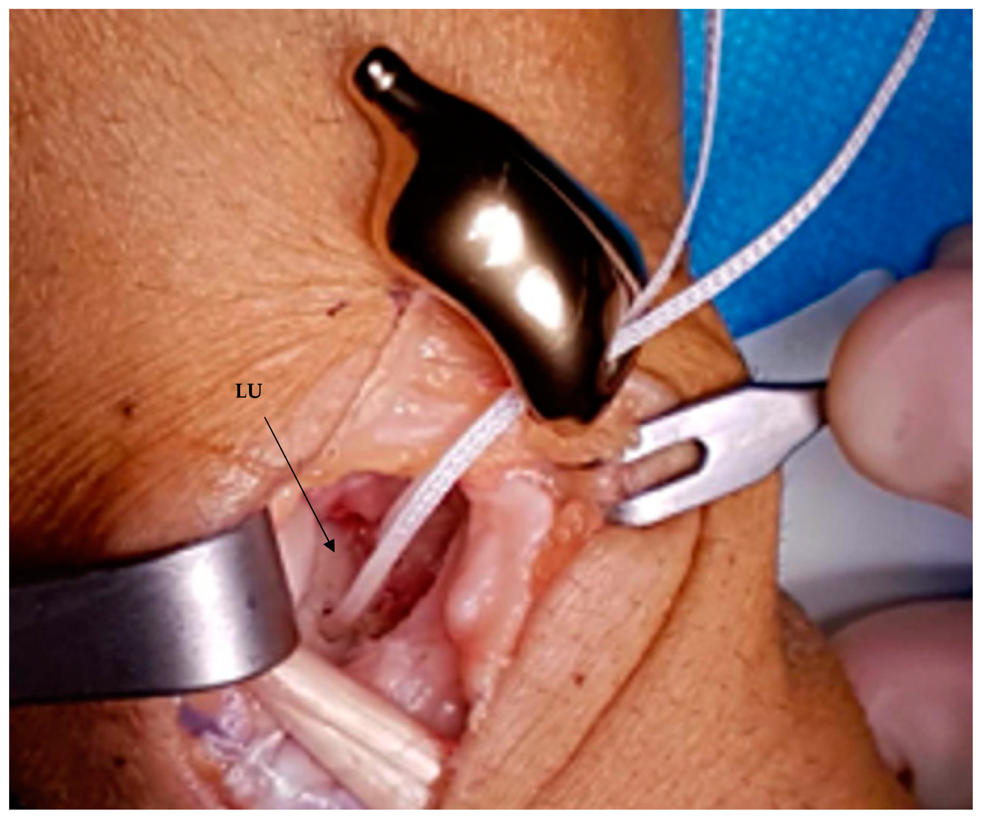 Healthcare 11 03123 g005