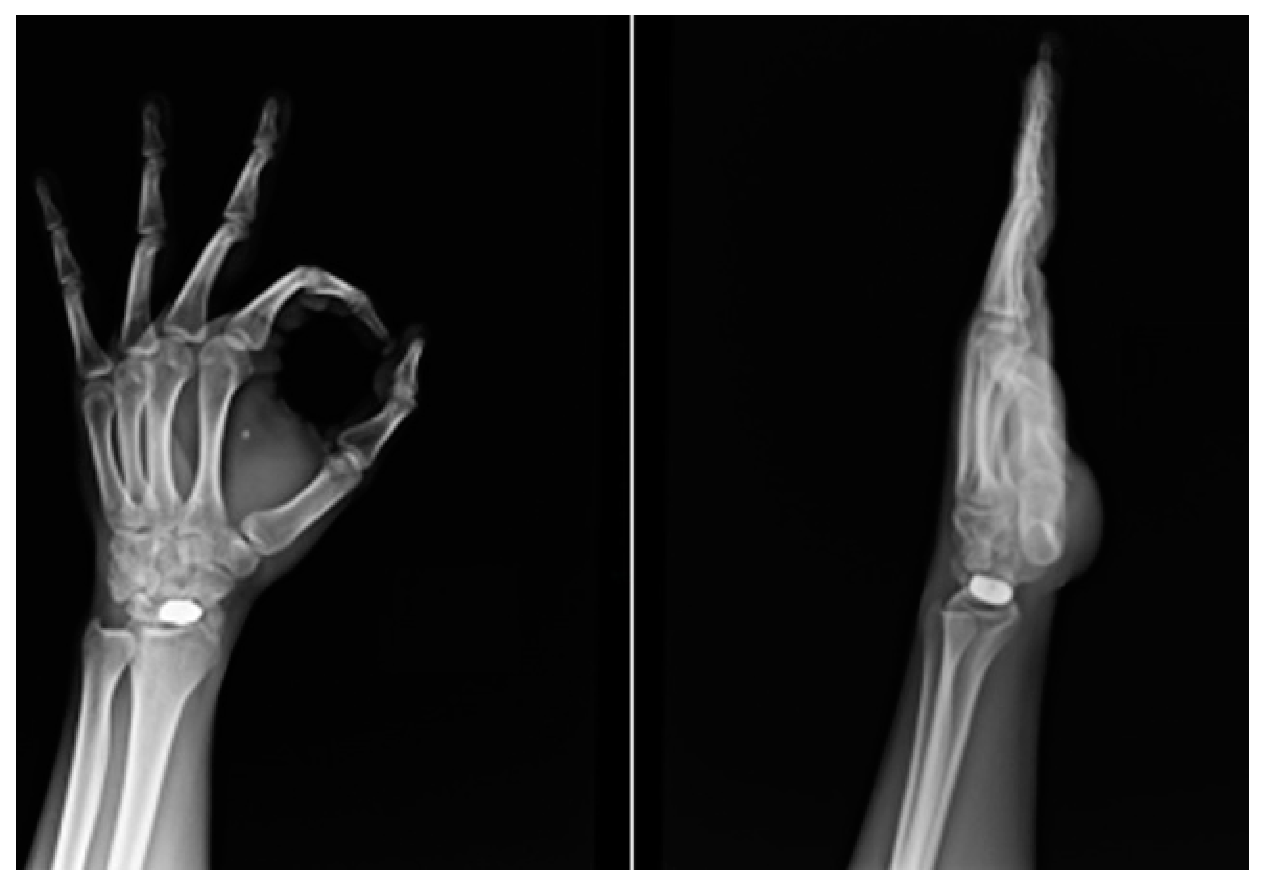 Healthcare 11 03123 g006