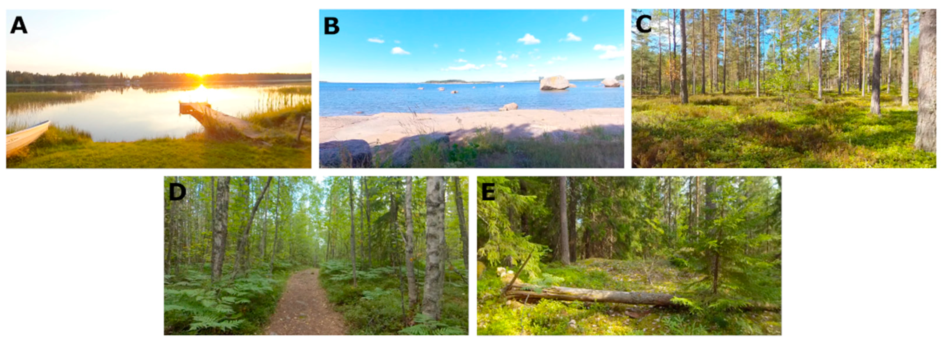 Healthcare 11 03129 g003