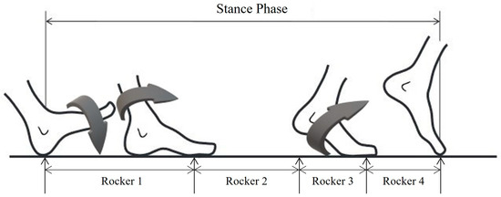 Does Lower Limb Tendon Structure Influence Walking Gait