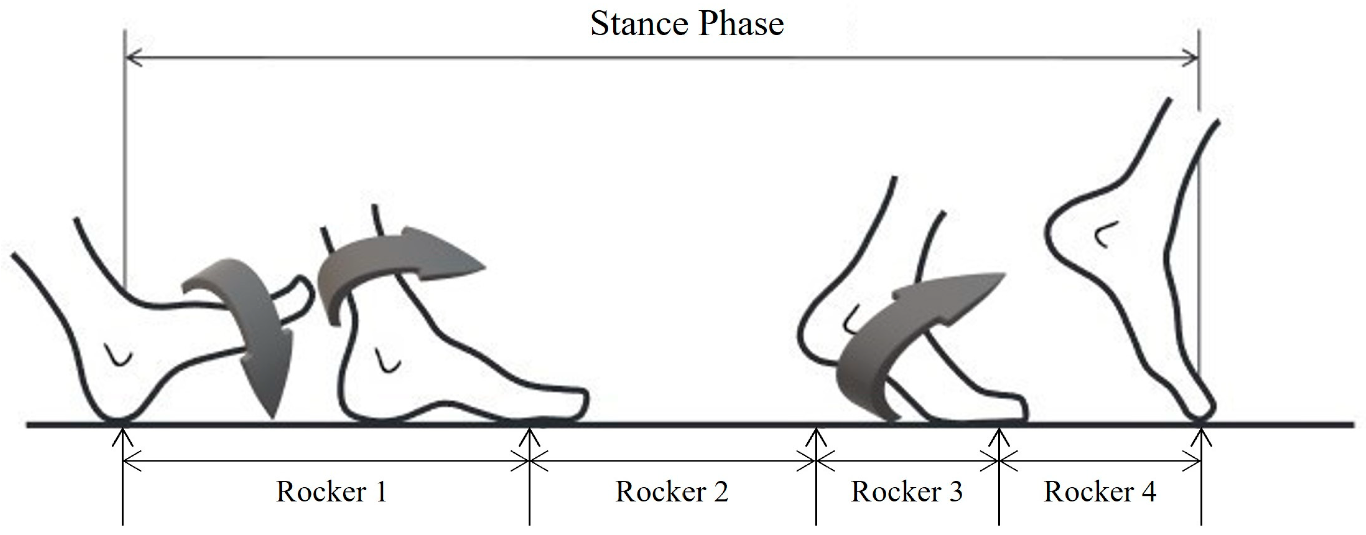 Healthcare 11 03142 g001