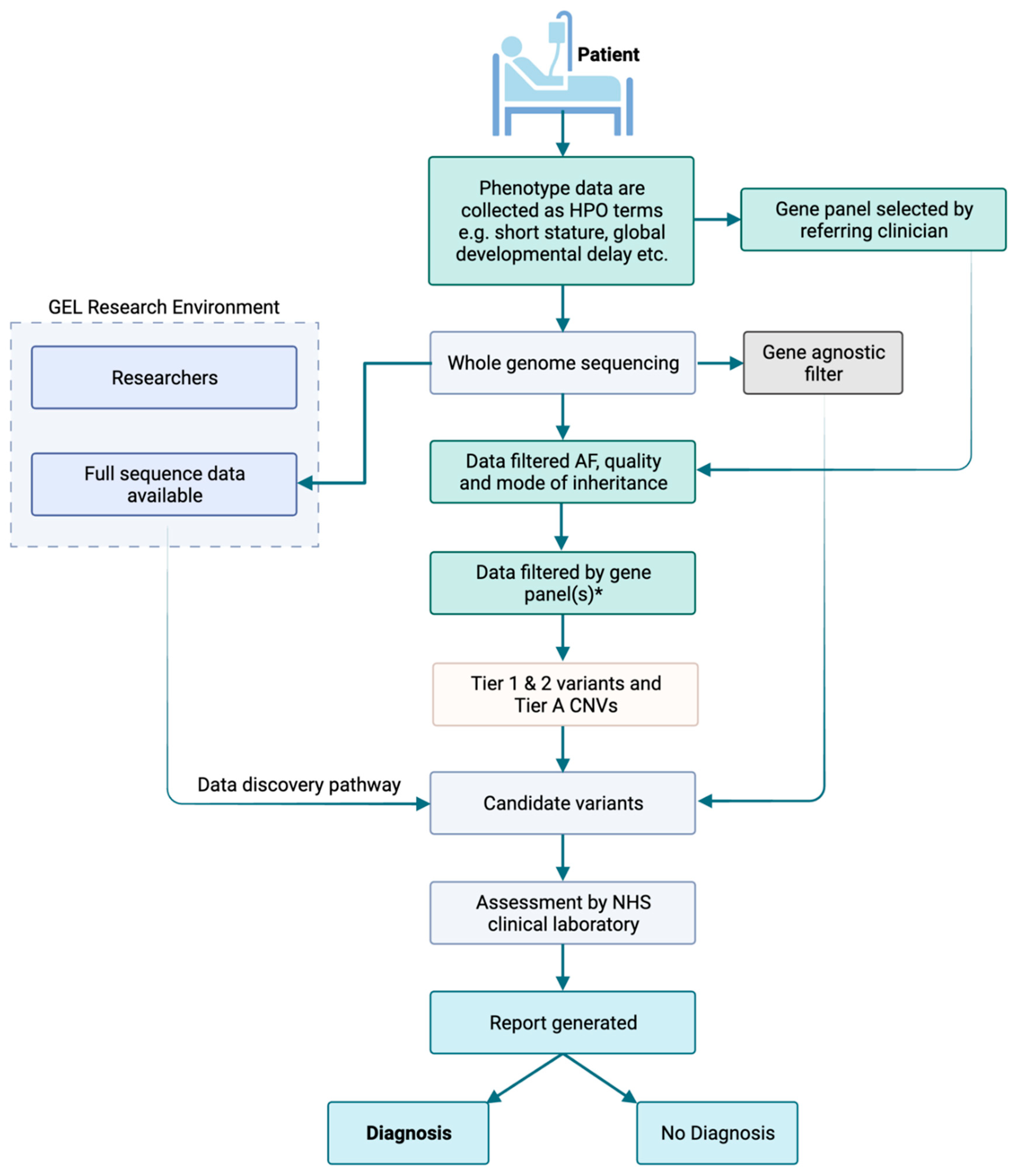 Healthcare 11 03179 g001