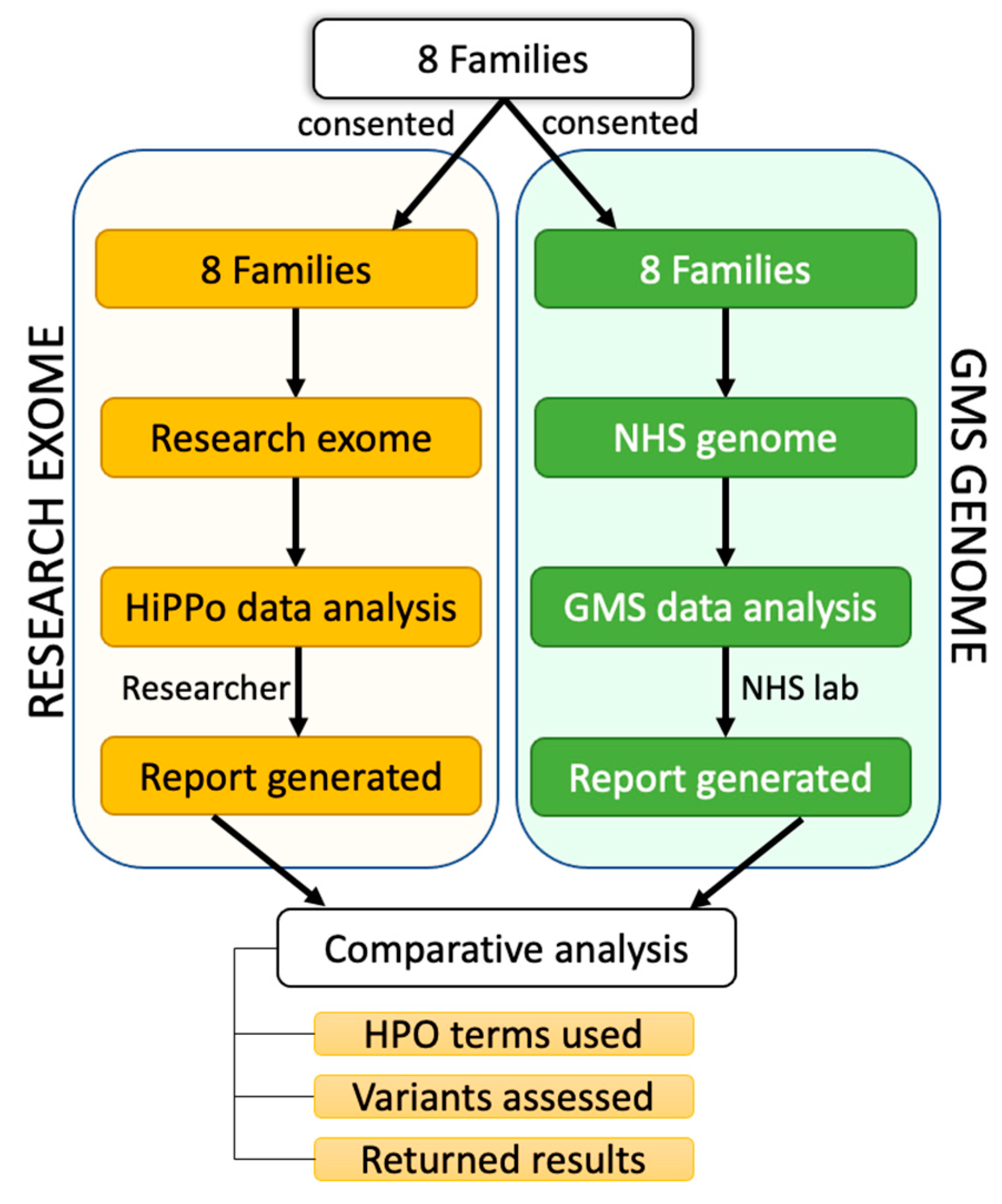 Healthcare 11 03179 g003