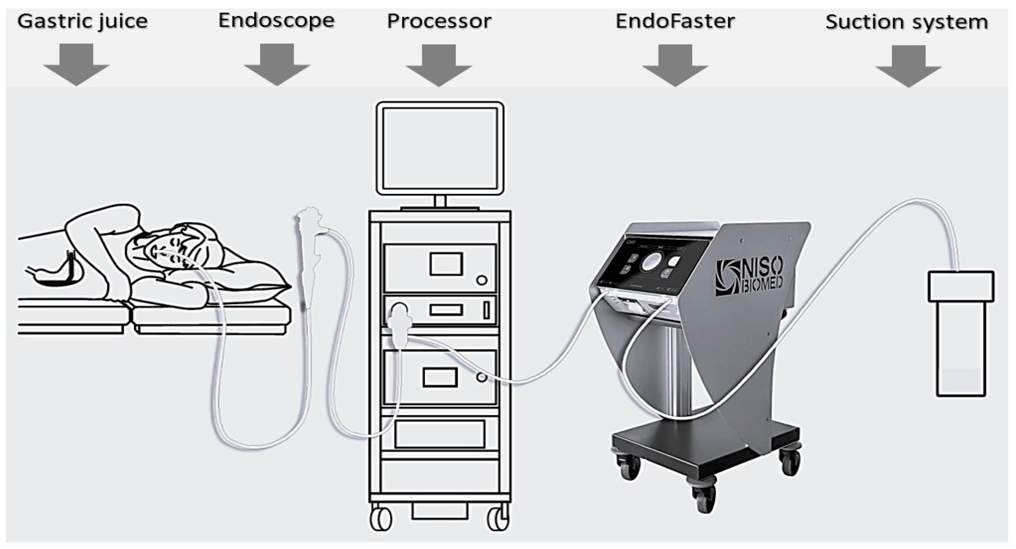 Healthcare 11 03186 g001