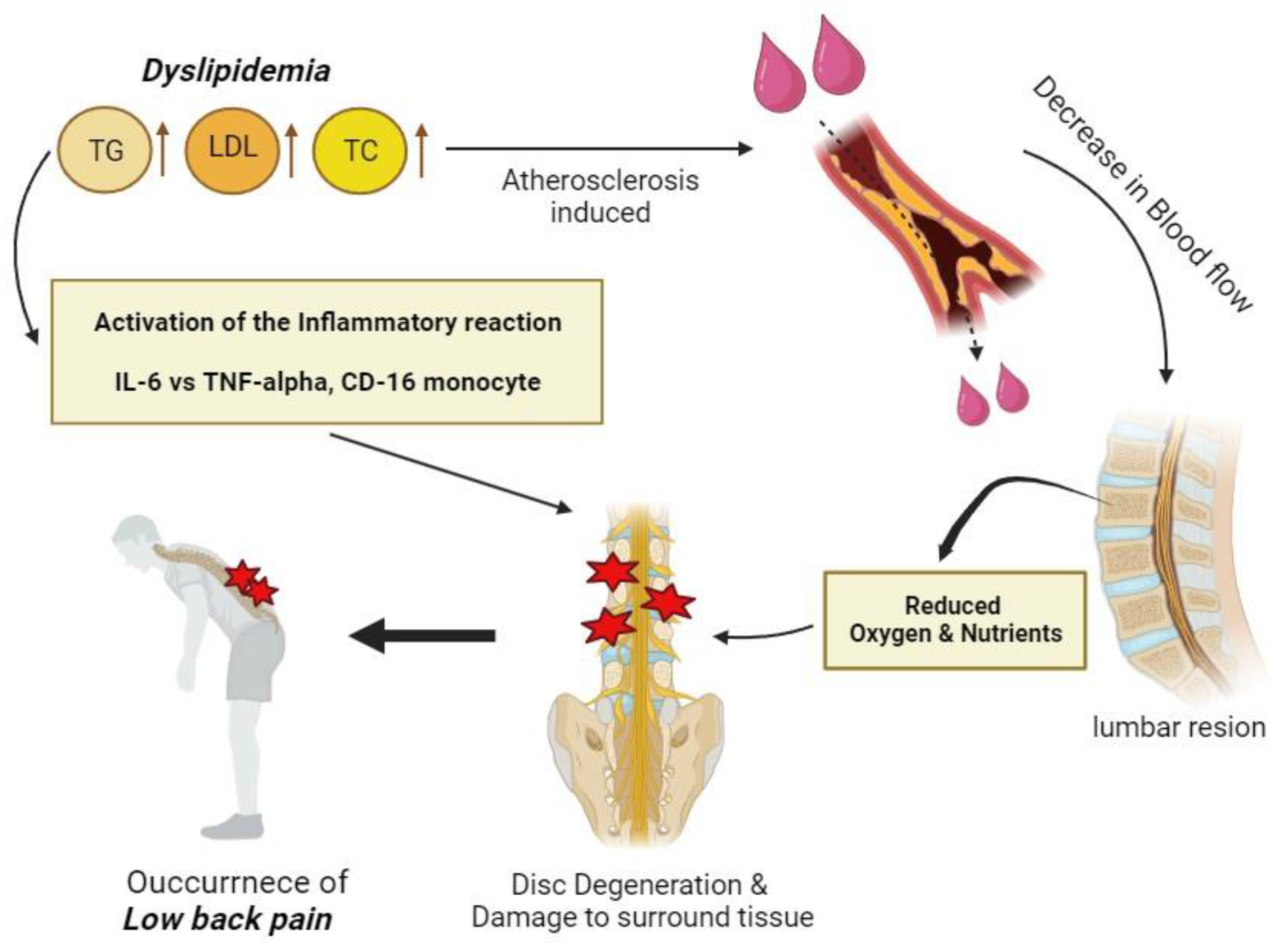 Healthcare 12 00102 g002 Healthcare 12 00102 g002