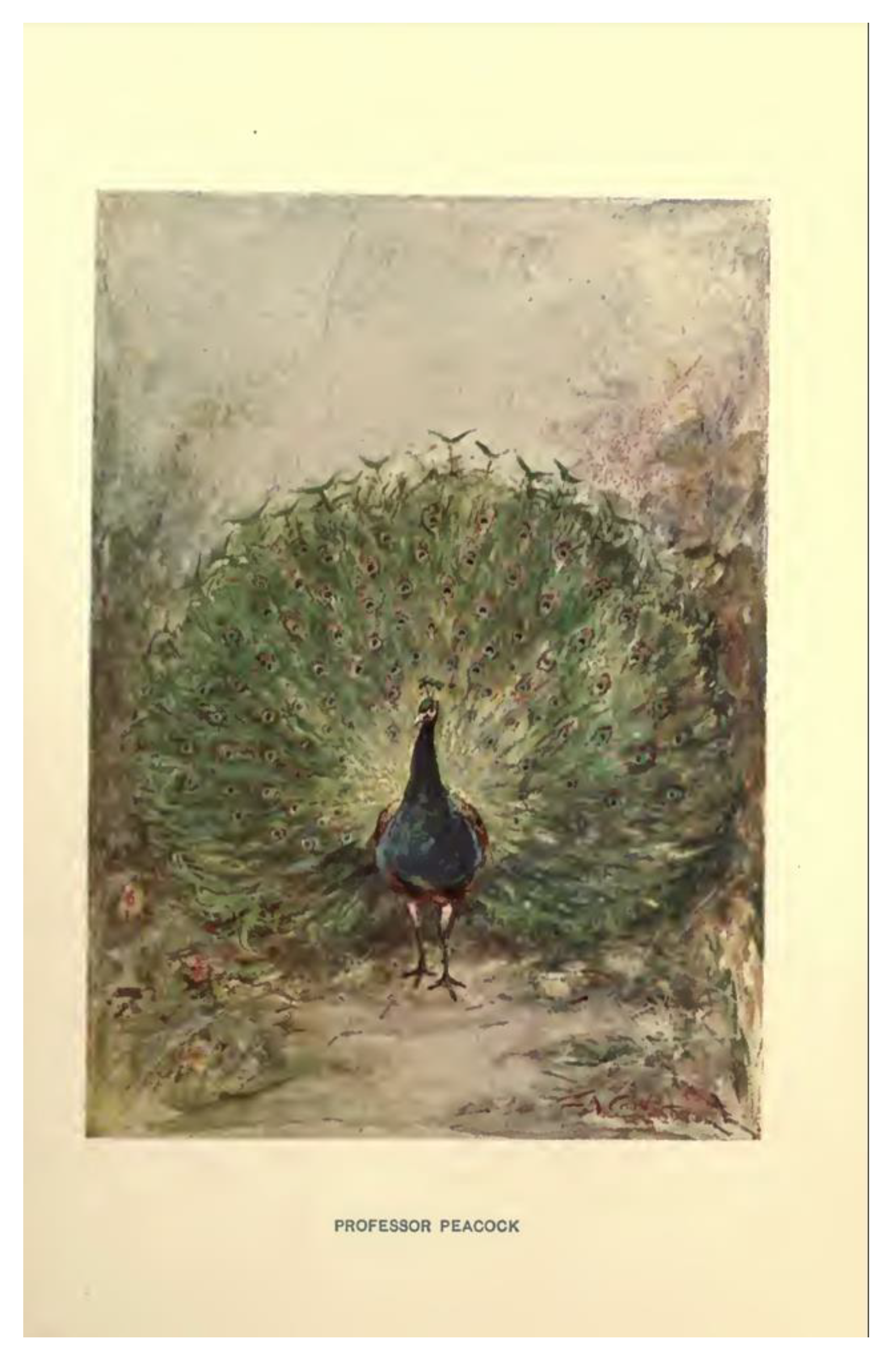 Healthcare 12 00130 g001 Healthcare 12 00130 g001