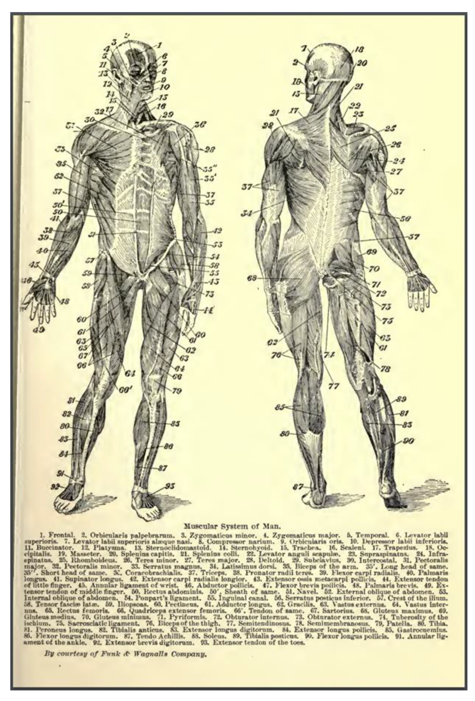 Healthcare 12 00130 g002 Healthcare 12 00130 g002
