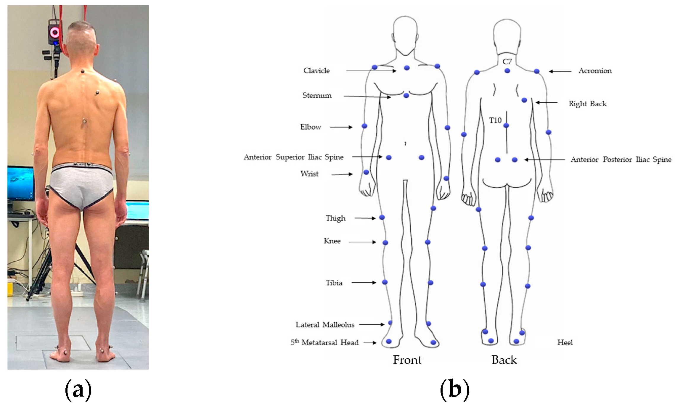Healthcare 12 00175 g001