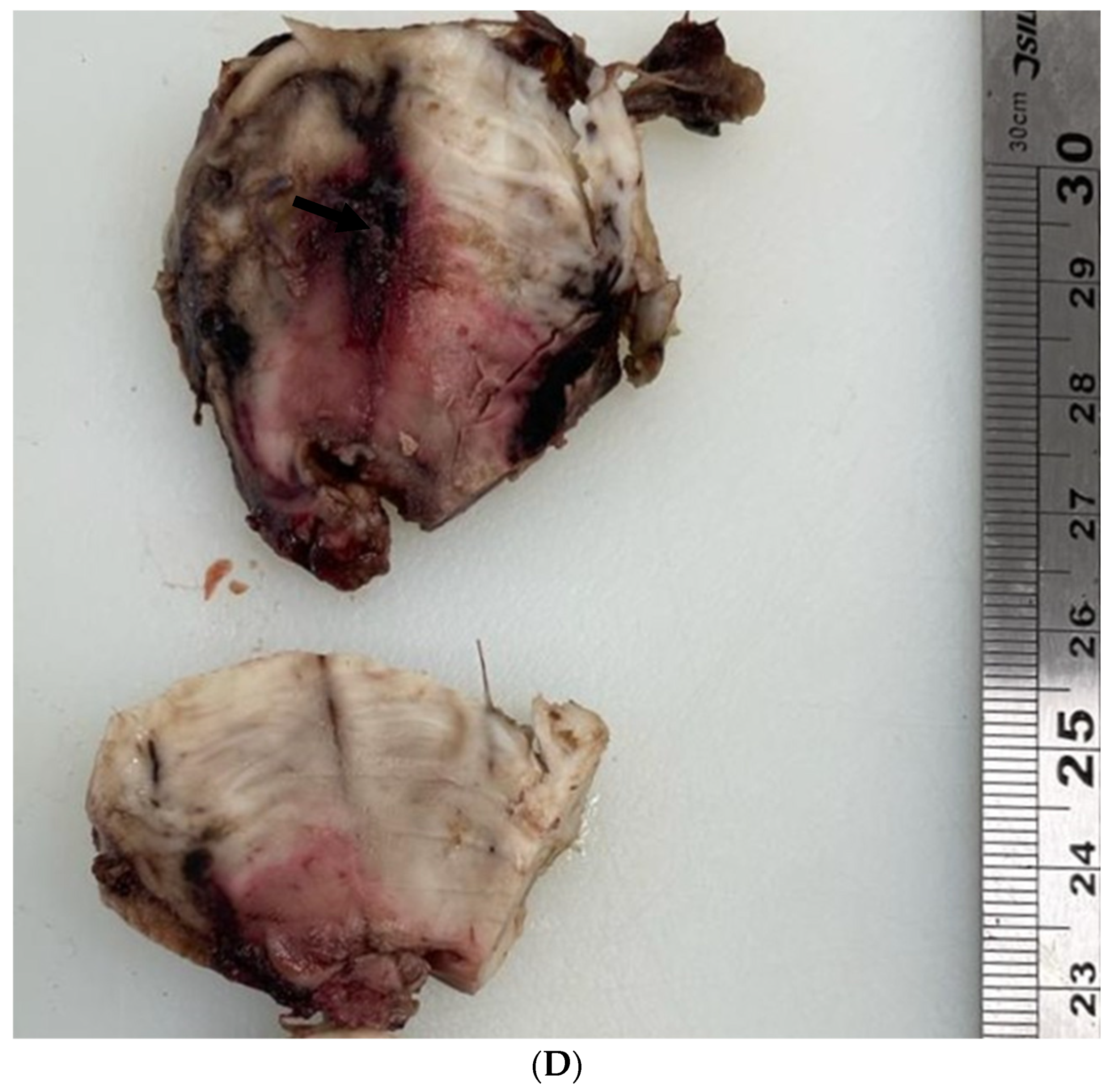 Healthcare 12 00192 g002c