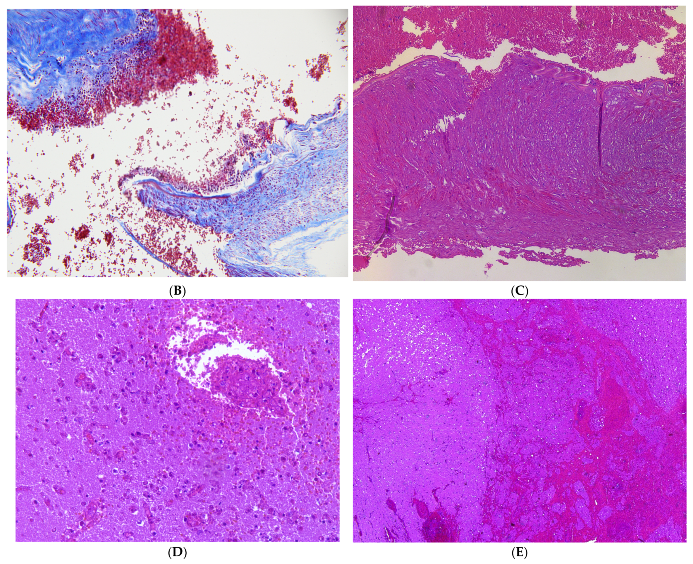 Healthcare 12 00192 g003b