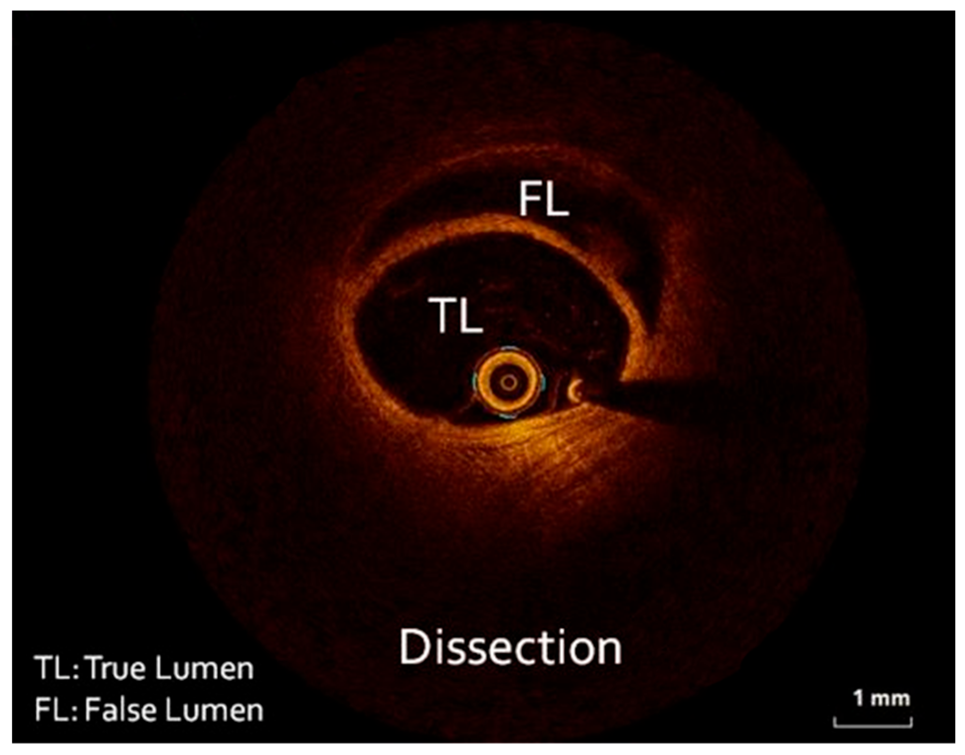 Healthcare 12 00214 g003