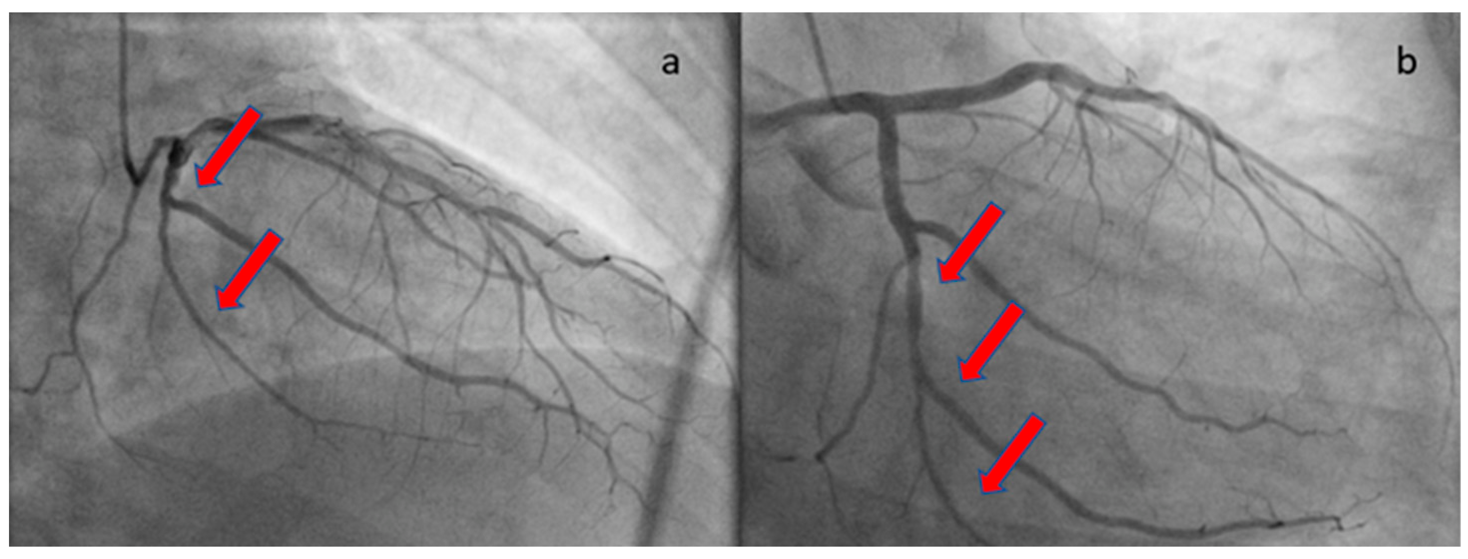Healthcare 12 00214 g004