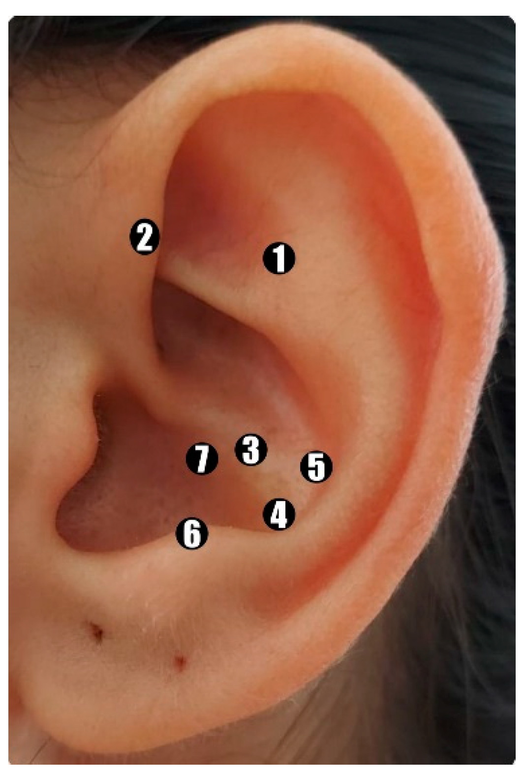 Healthcare 12 00218 g001