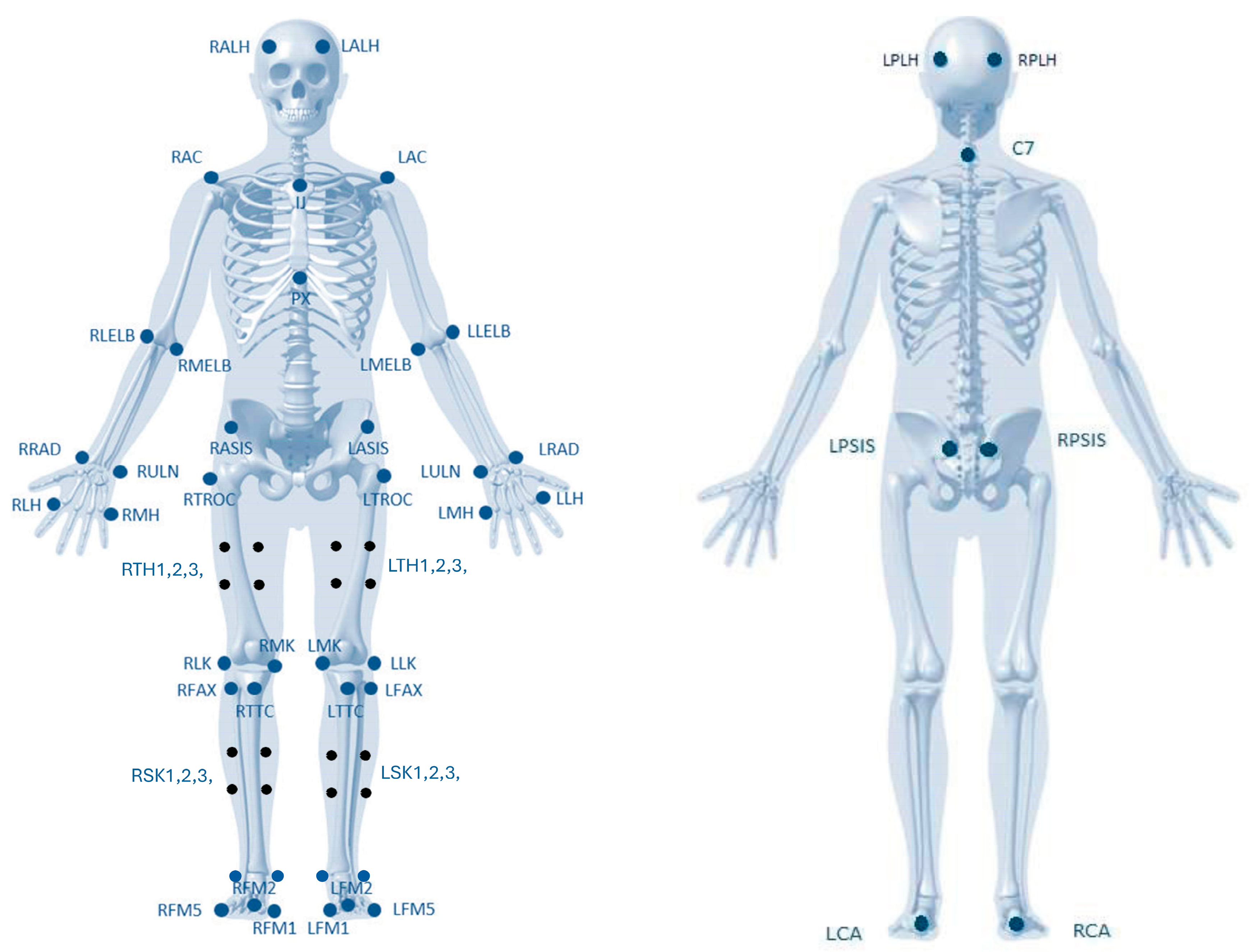 Healthcare 12 00229 g003