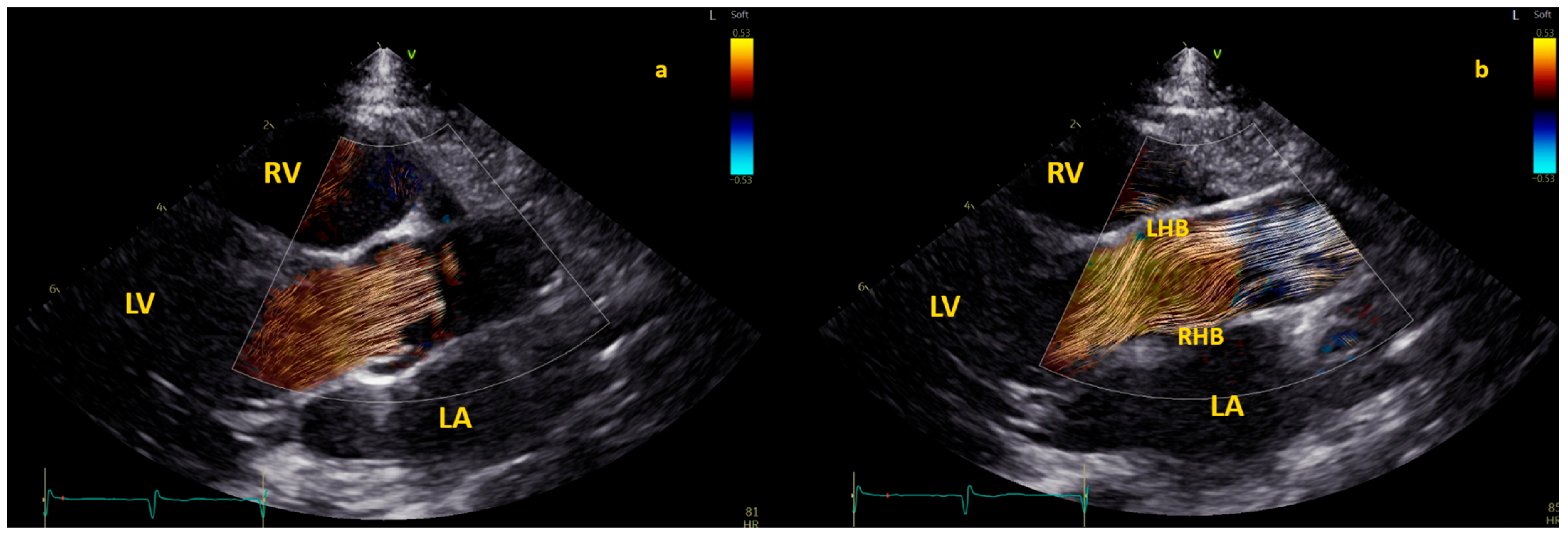 Healthcare 12 00263 g004 Healthcare 12 00263 g004