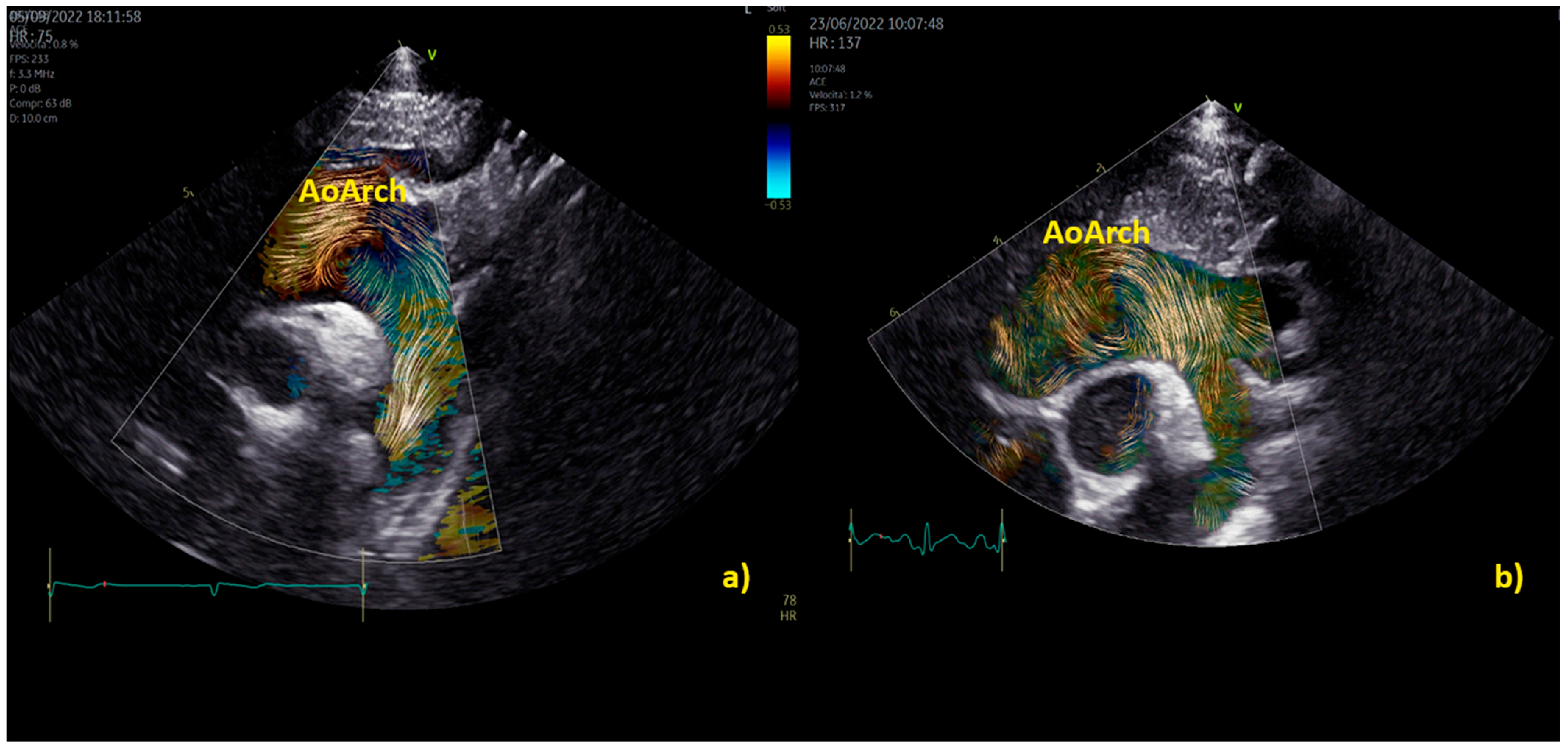 Healthcare 12 00263 g006 Healthcare 12 00263 g006