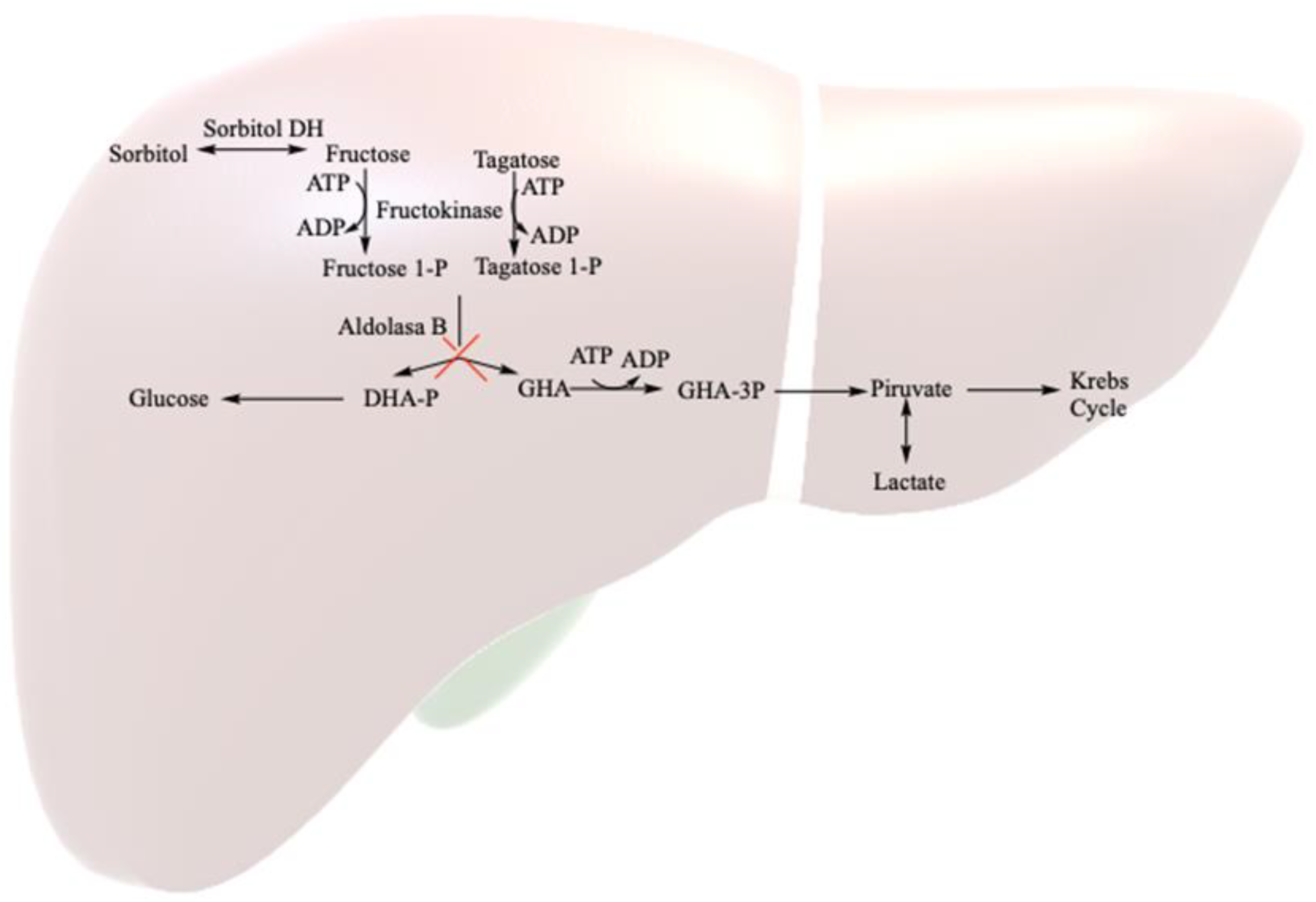Healthcare 12 00573 g001