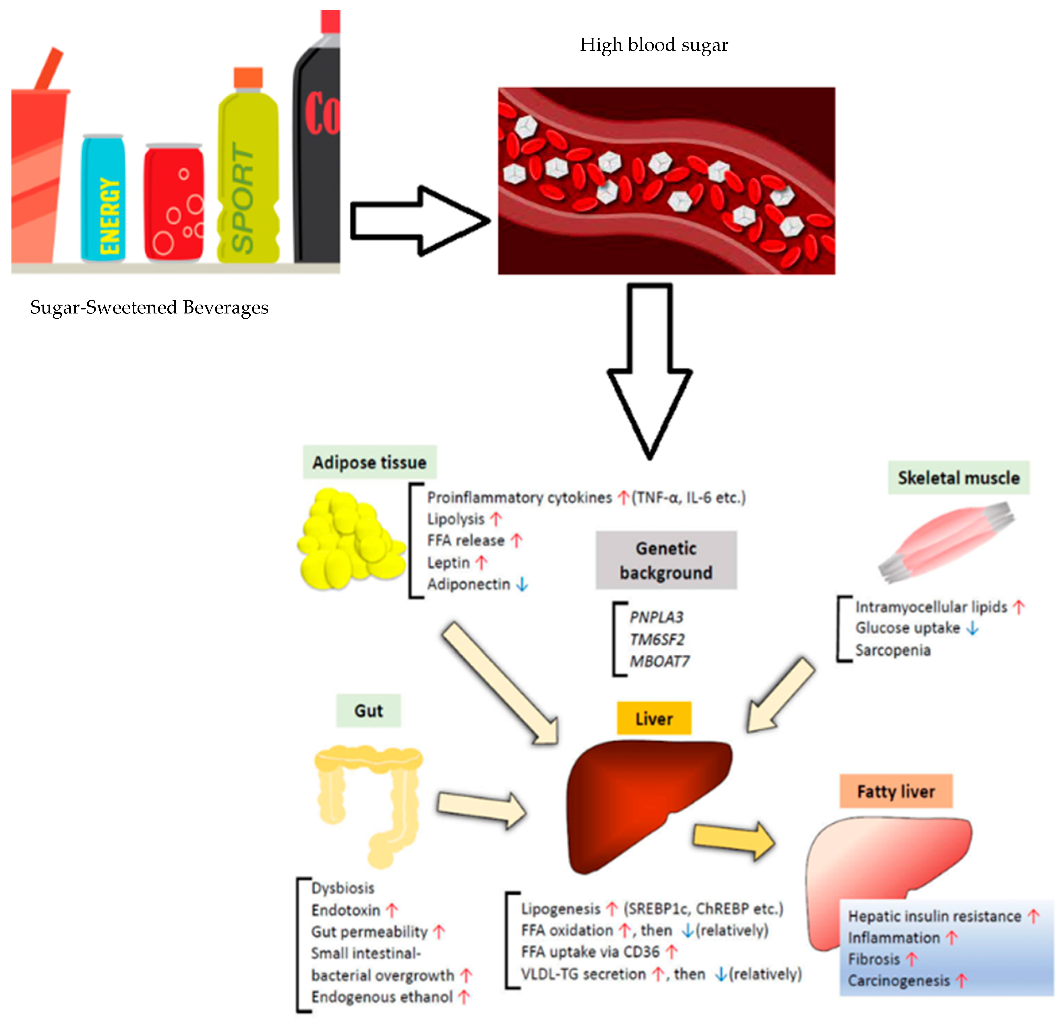 Healthcare 12 00591 g001