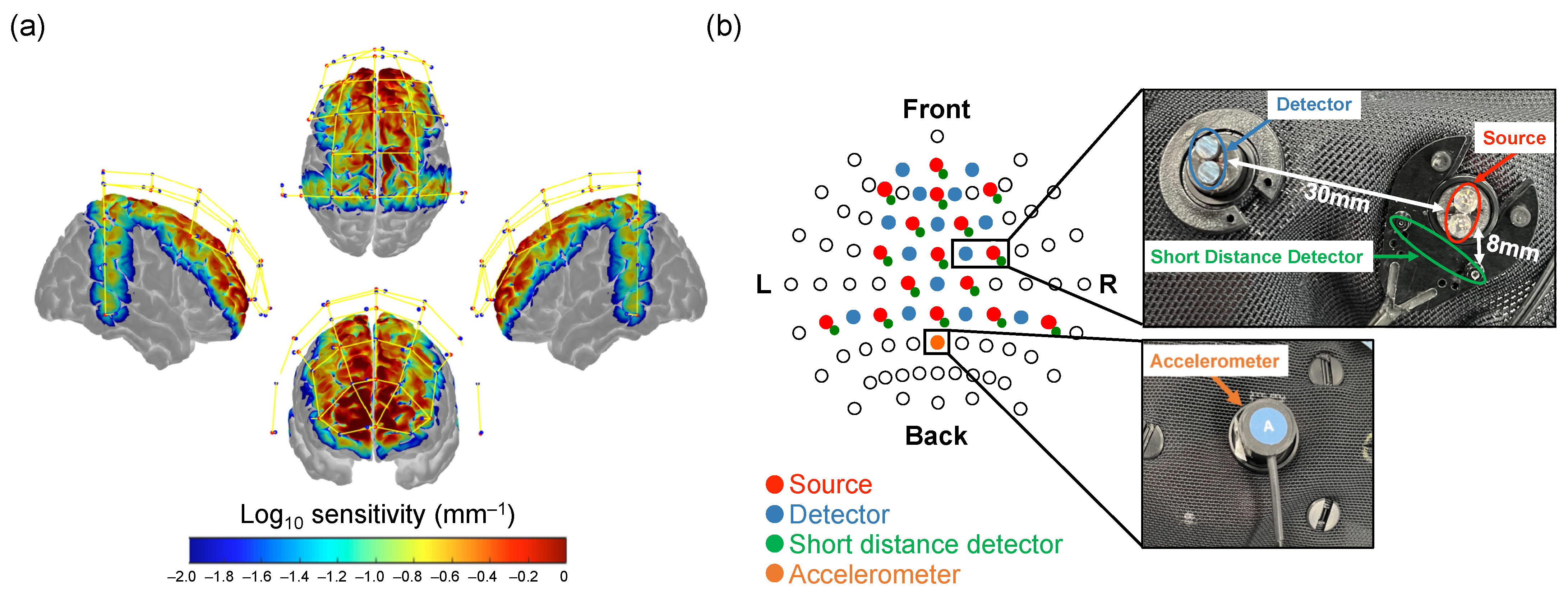 Healthcare 12 00734 g002 Healthcare 12 00734 g002