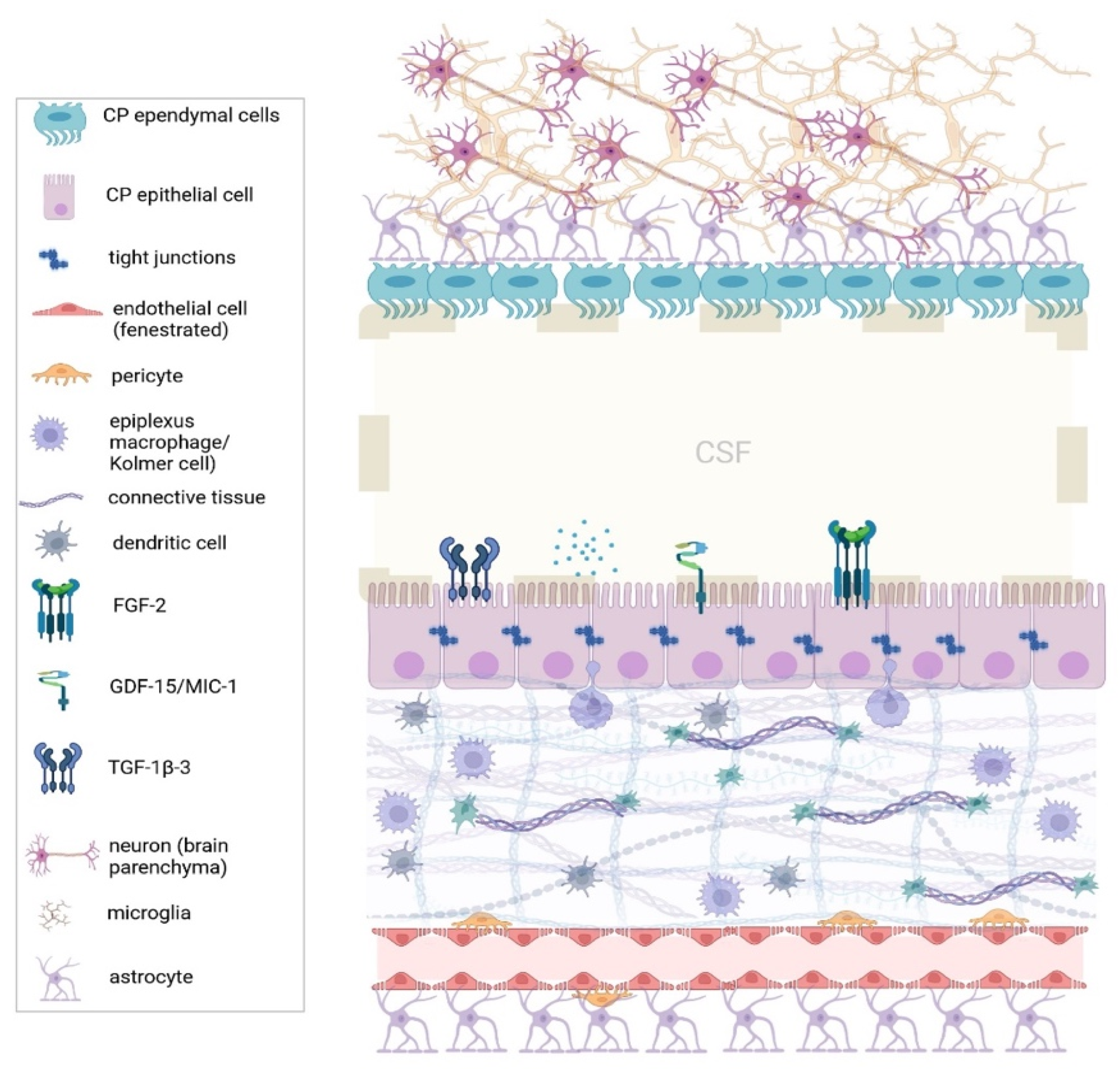 Healthcare 12 00768 g001