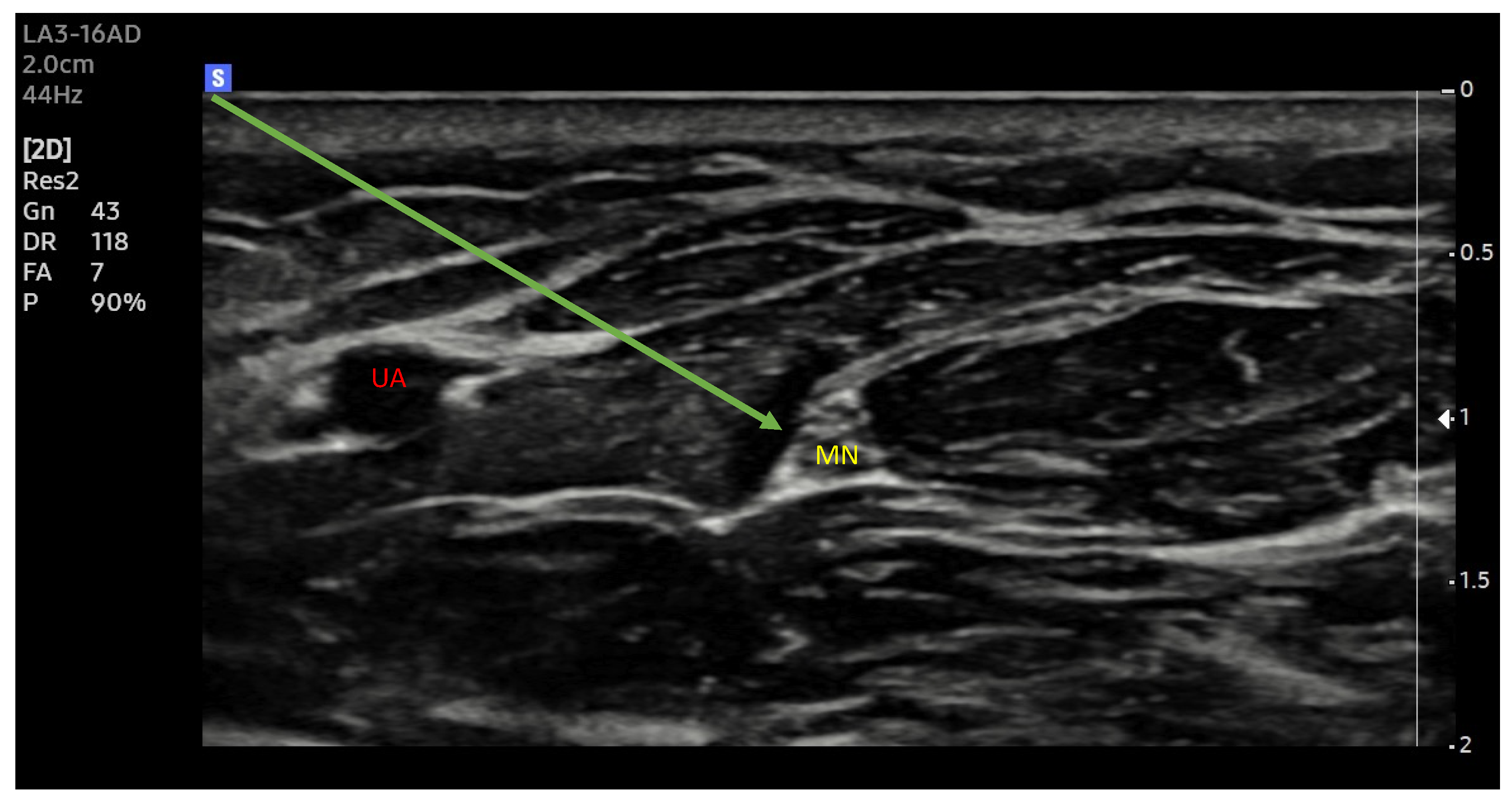 Healthcare 12 00769 g001