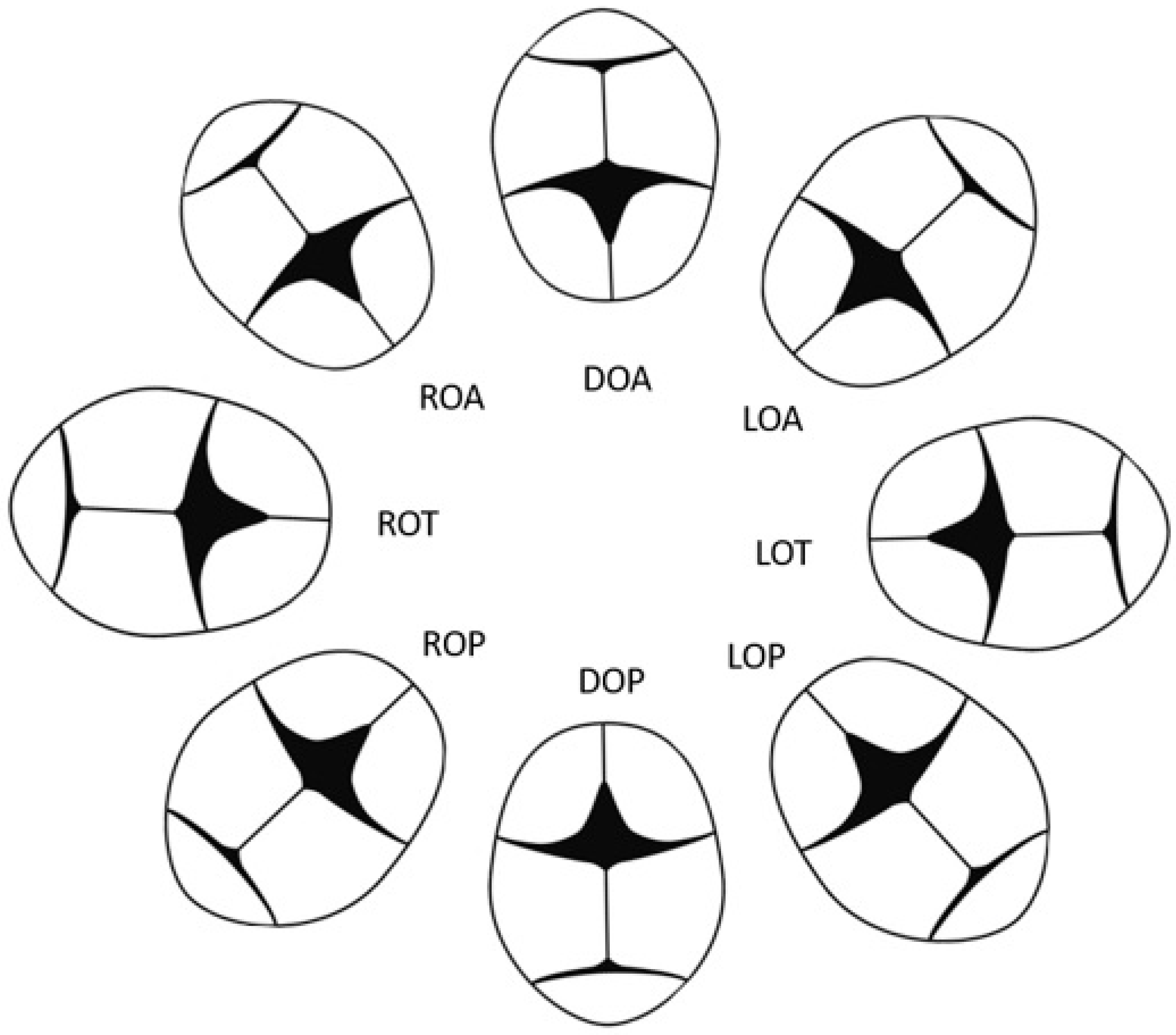 Healthcare 12 00864 g001