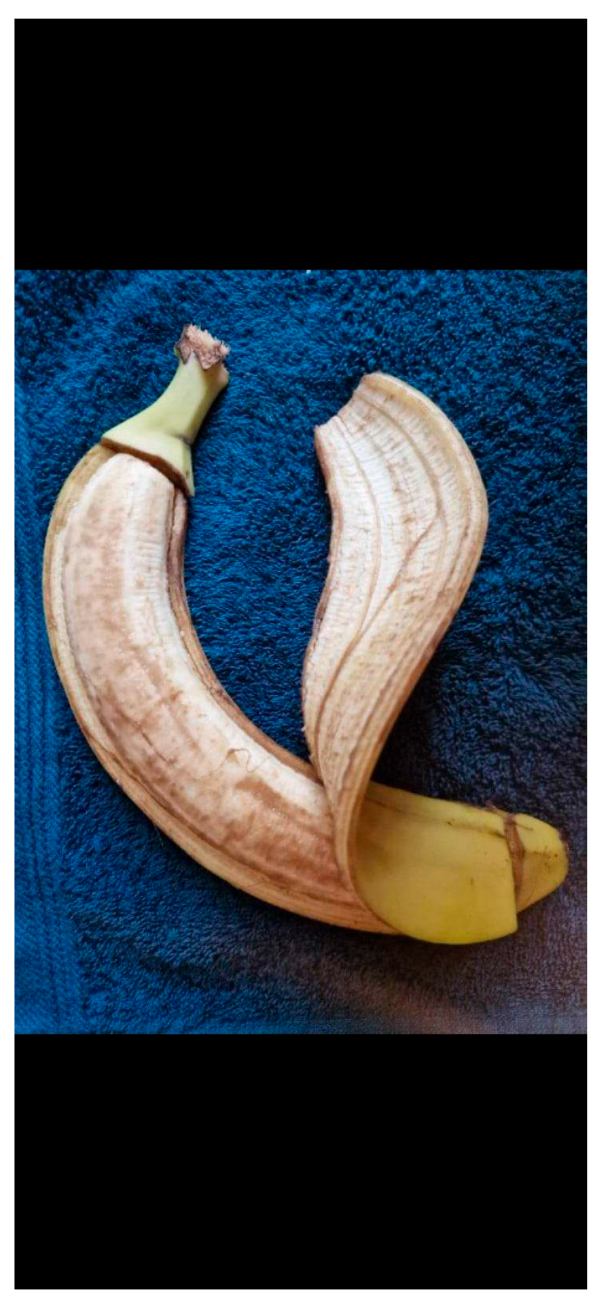 Healthcare 12 00873 g002