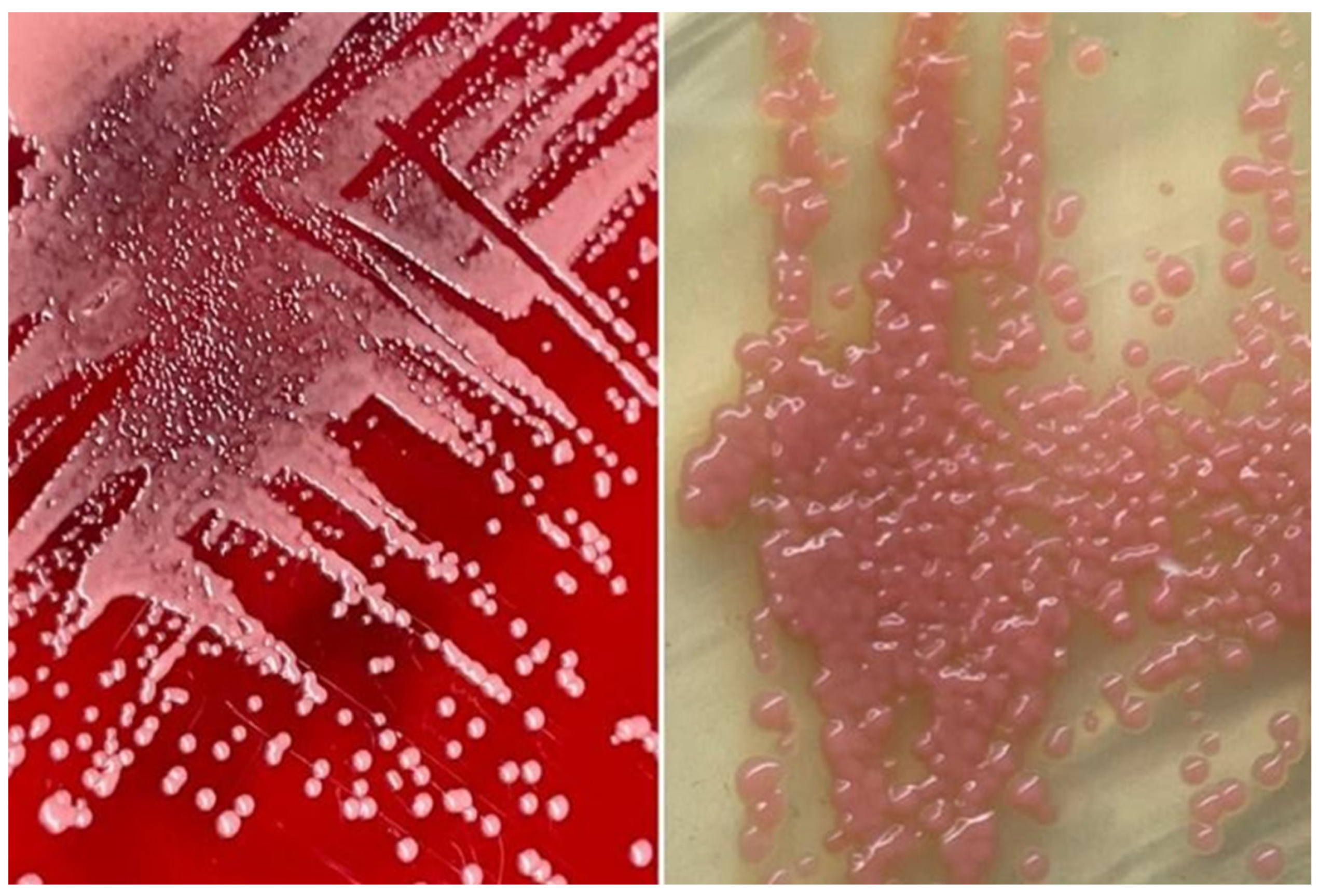 Healthcare 12 00880 g002