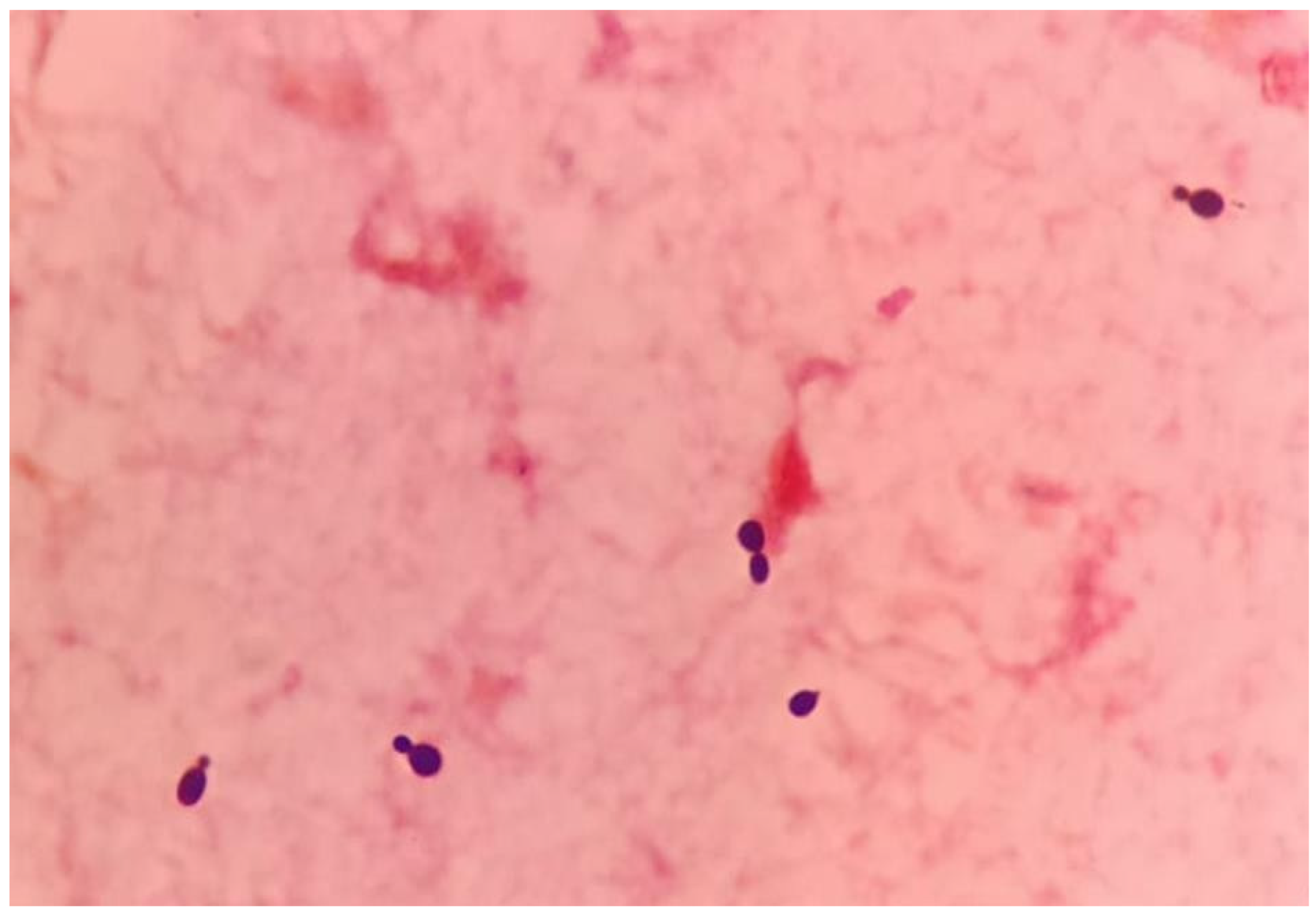 Healthcare 12 00880 g003