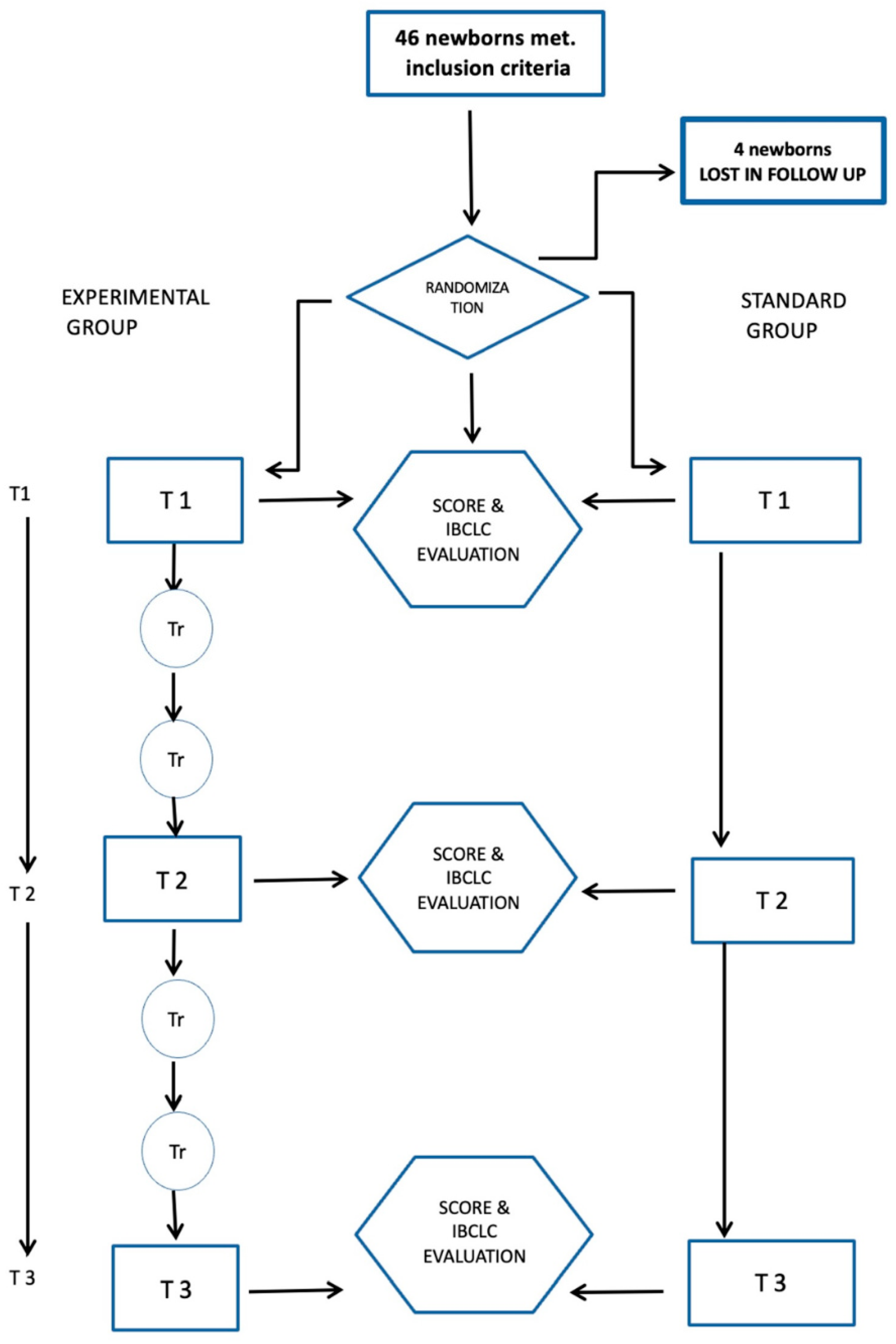 Healthcare 12 00961 g001