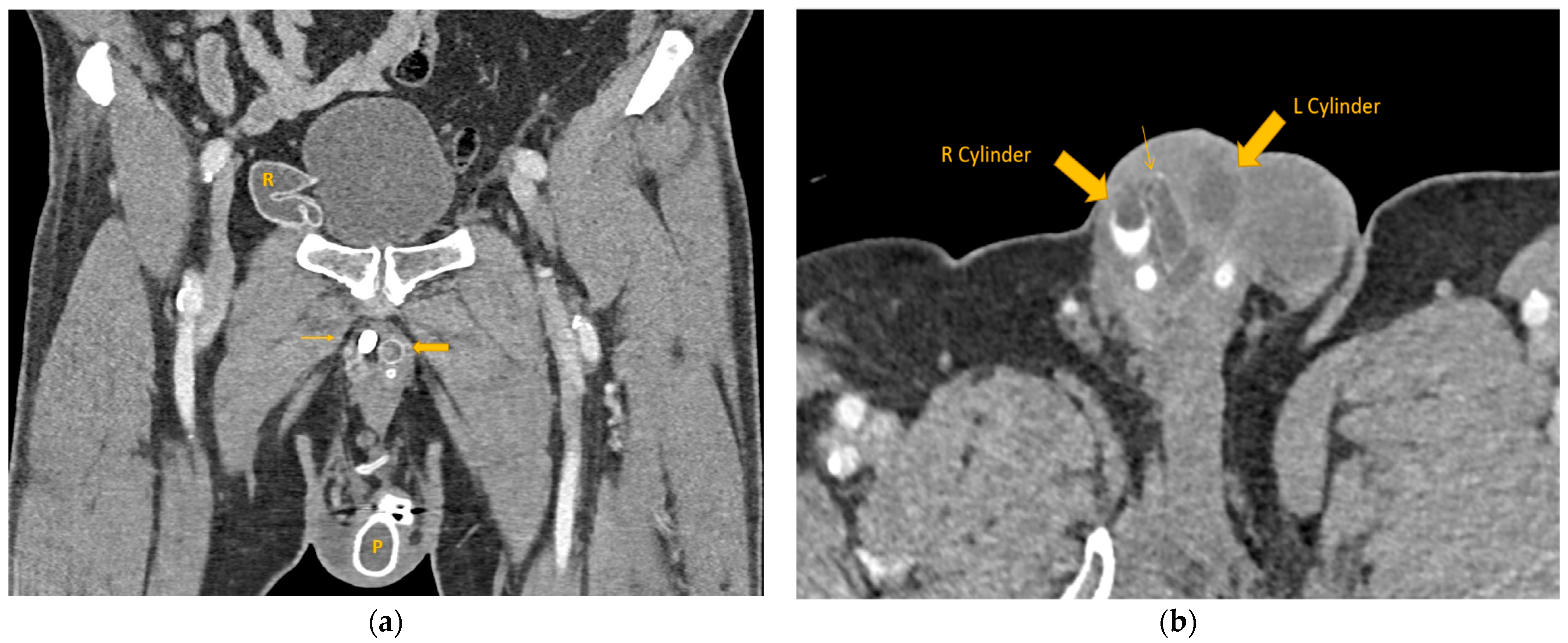 Healthcare 12 00964 g002