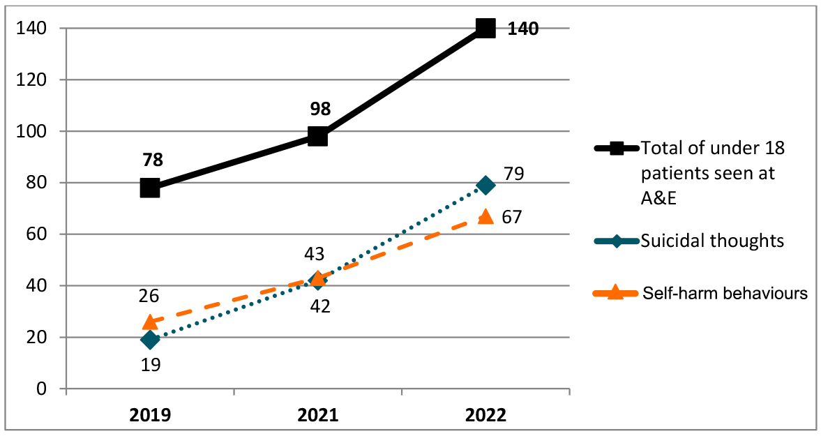 Healthcare 12 00977 g001